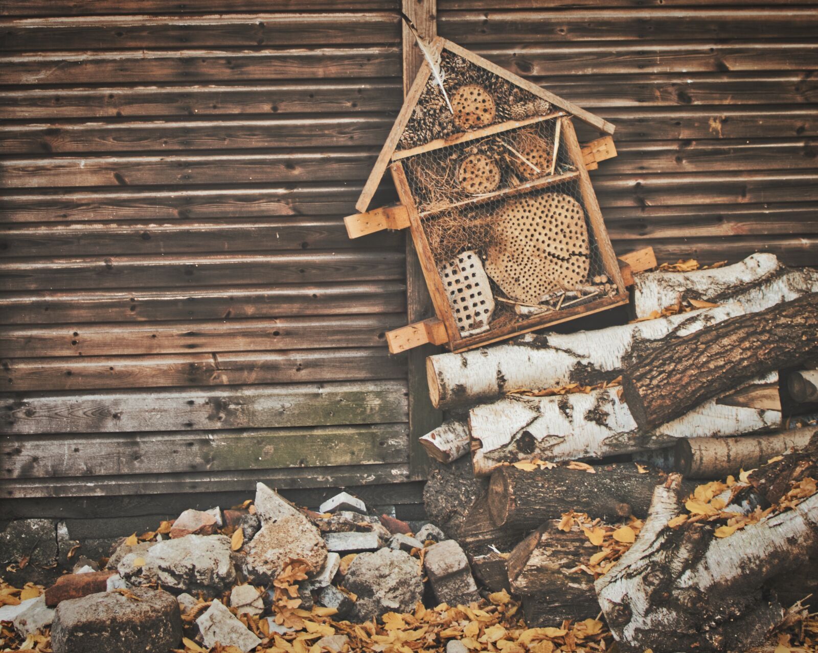 Nikon D5300 sample photo. Insect hotel, nature conservation photography