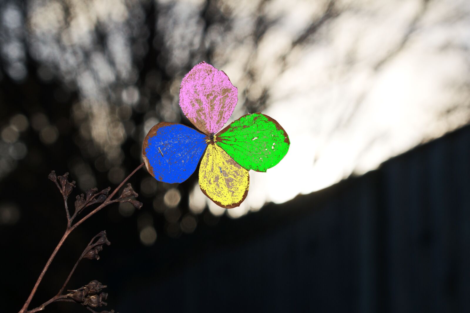 Nikon D3300 sample photo. Just colors, green, blue photography