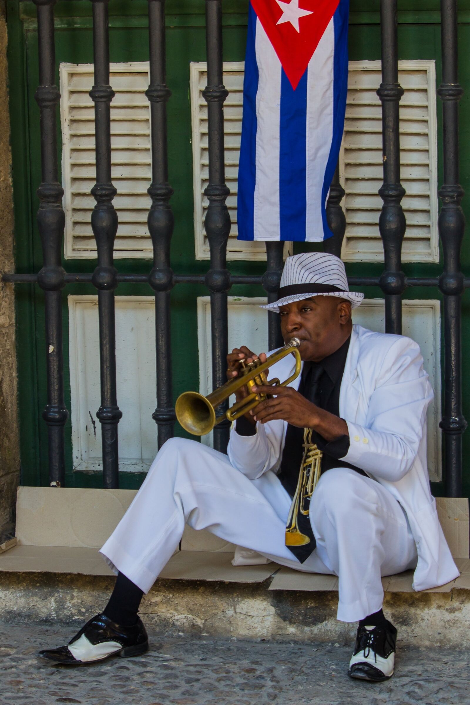 Canon EOS 600D (Rebel EOS T3i / EOS Kiss X5) sample photo. Musician, trumpet, music photography