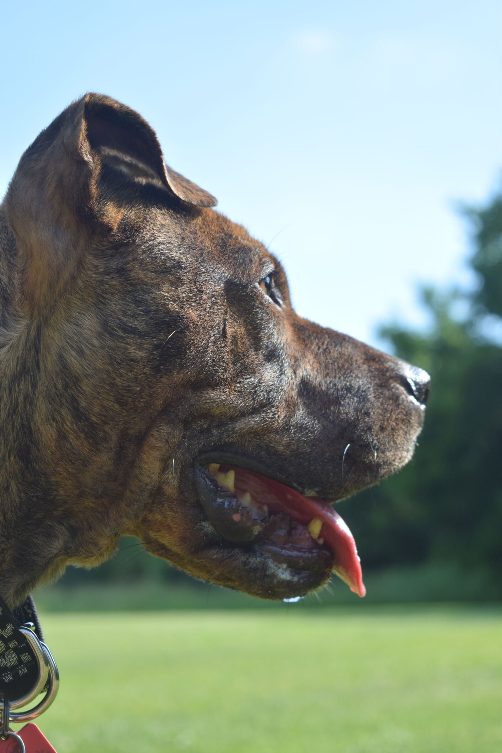Nikon D3300 sample photo