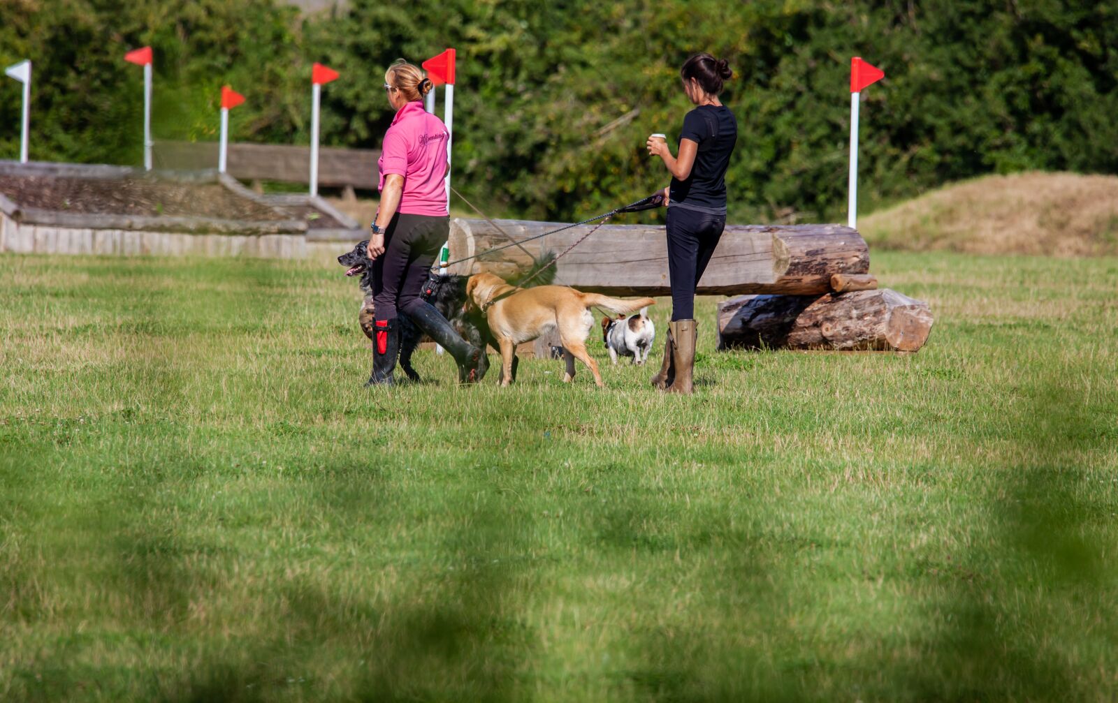 150-600mm F5-6.3 DG OS HSM | Contemporary 015 sample photo. Dog walking, women and photography