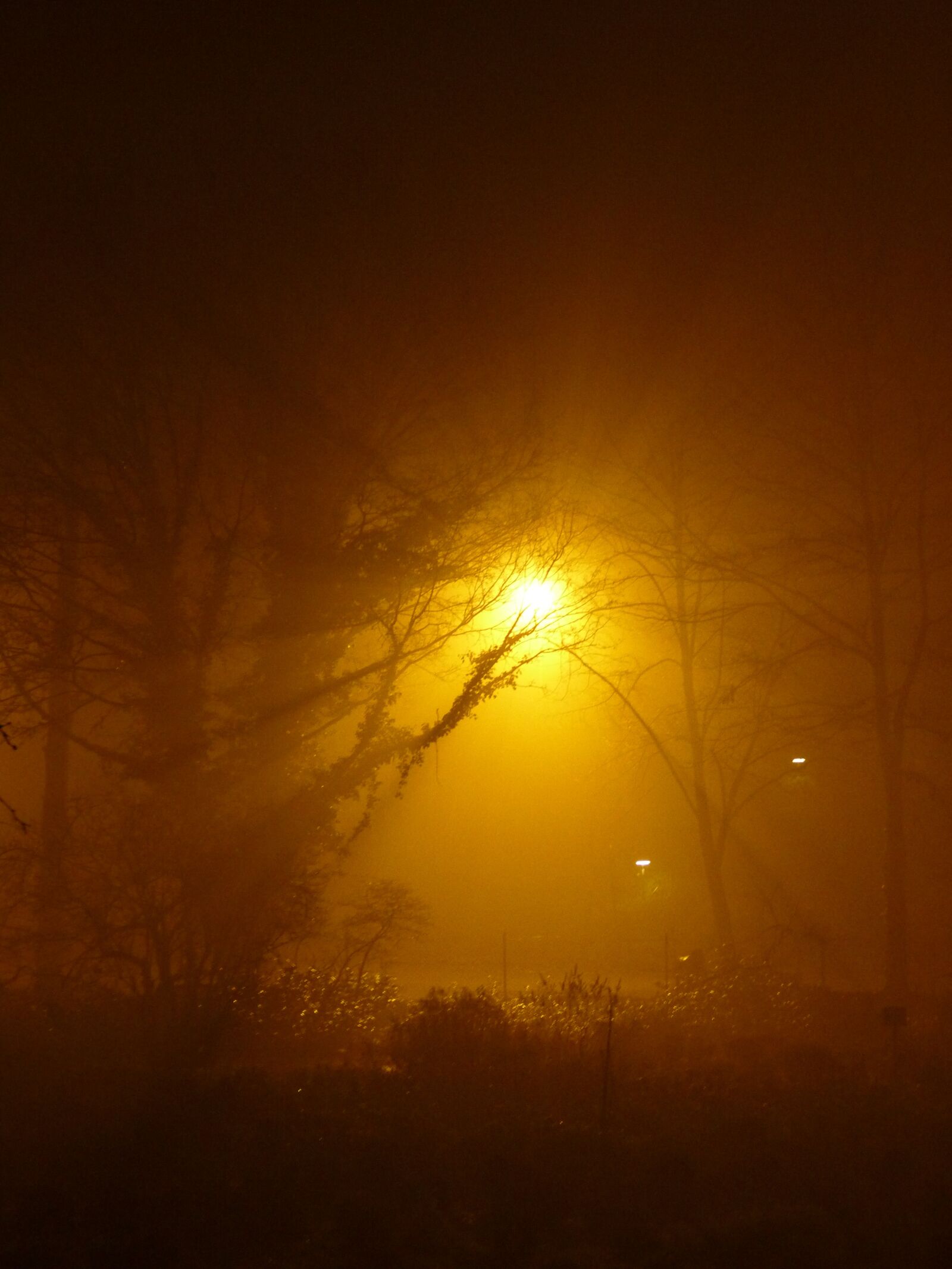 Panasonic Lumix DMC-FZ35 (Lumix DMC-FZ38) sample photo. Fog, night, light photography
