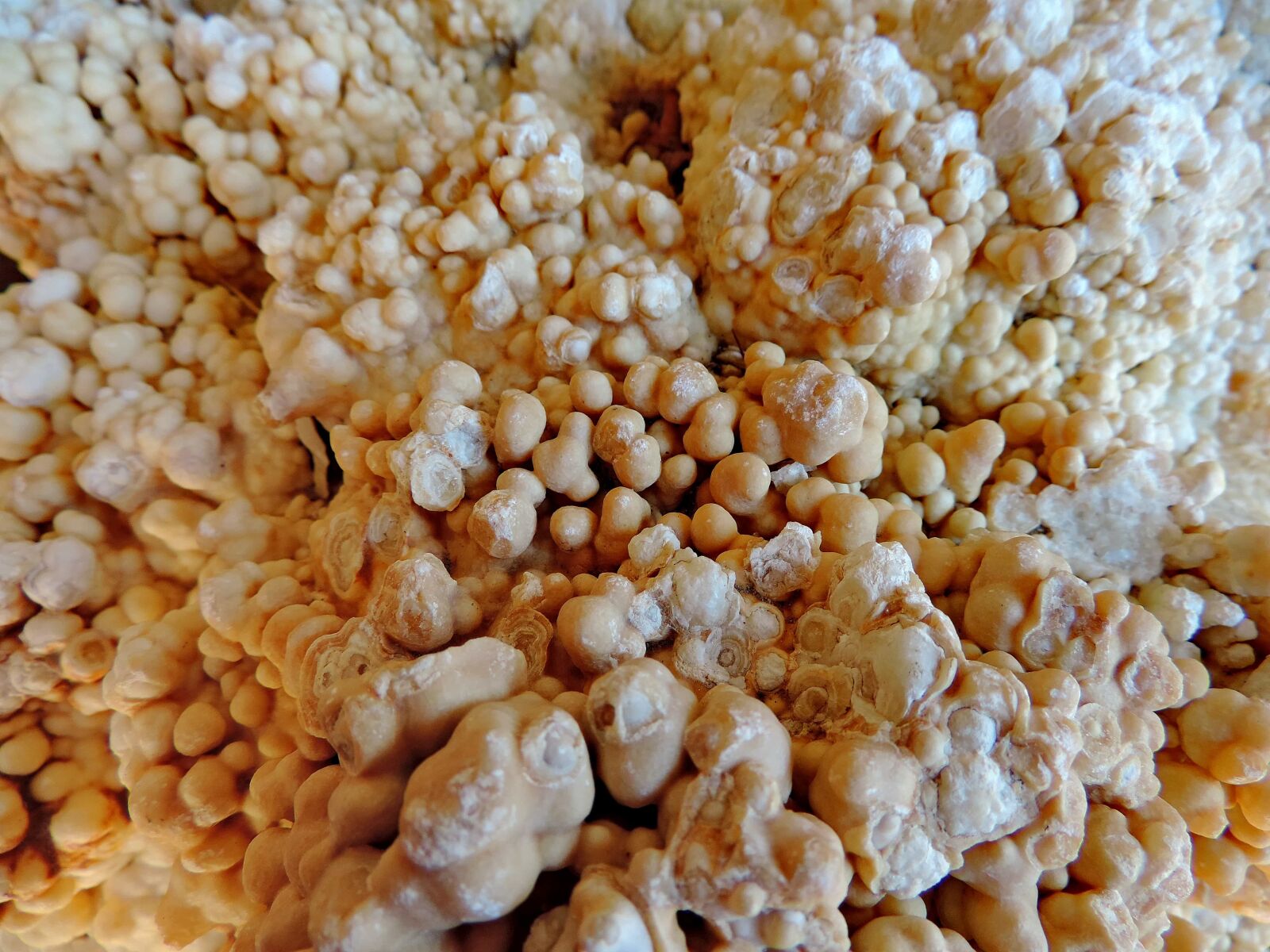 Nikon Coolpix P520 sample photo. Geology, sediment, texture, upclose photography