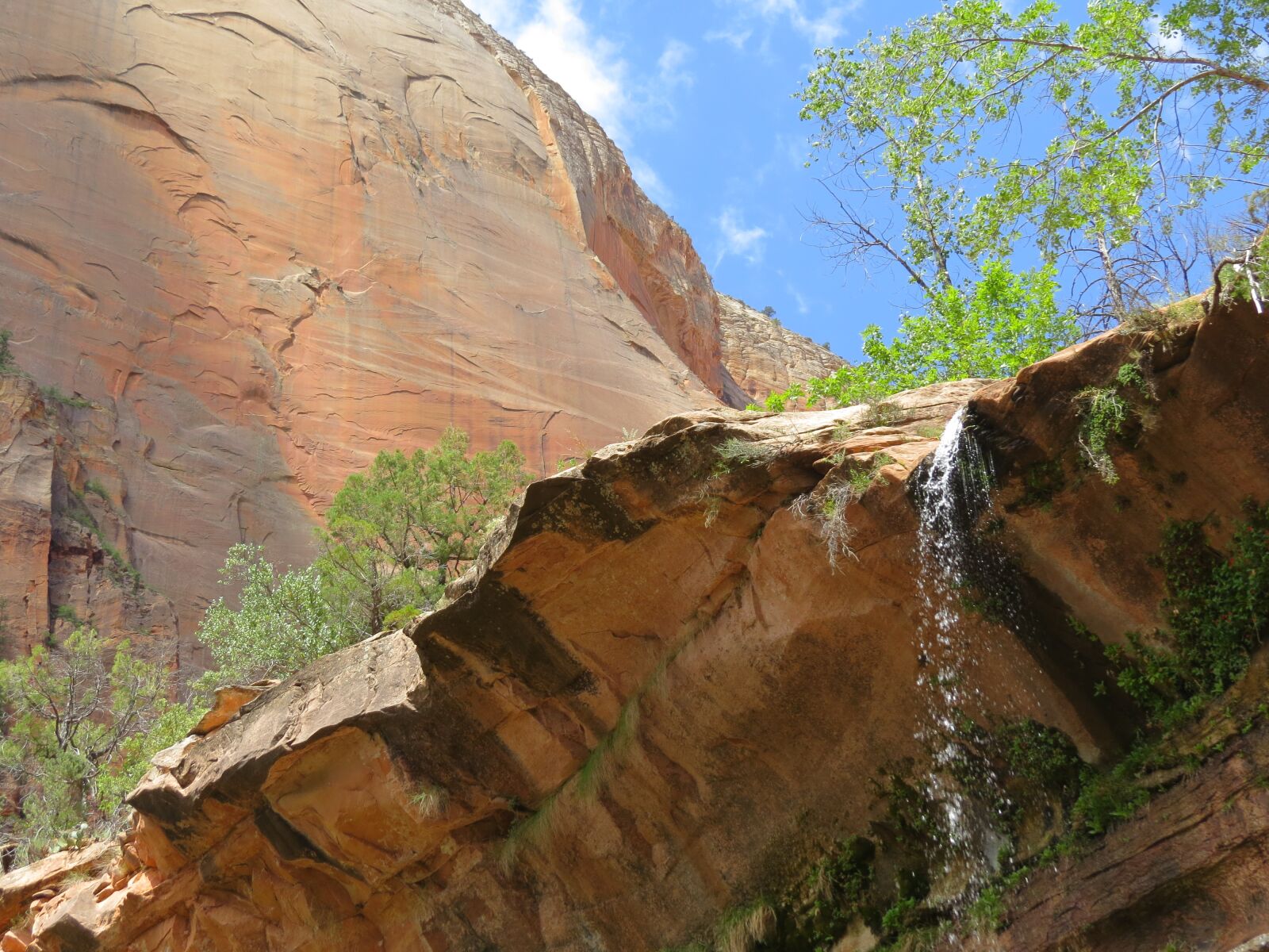 Canon PowerShot SX50 HS sample photo. Waterfall, mountain, rock photography