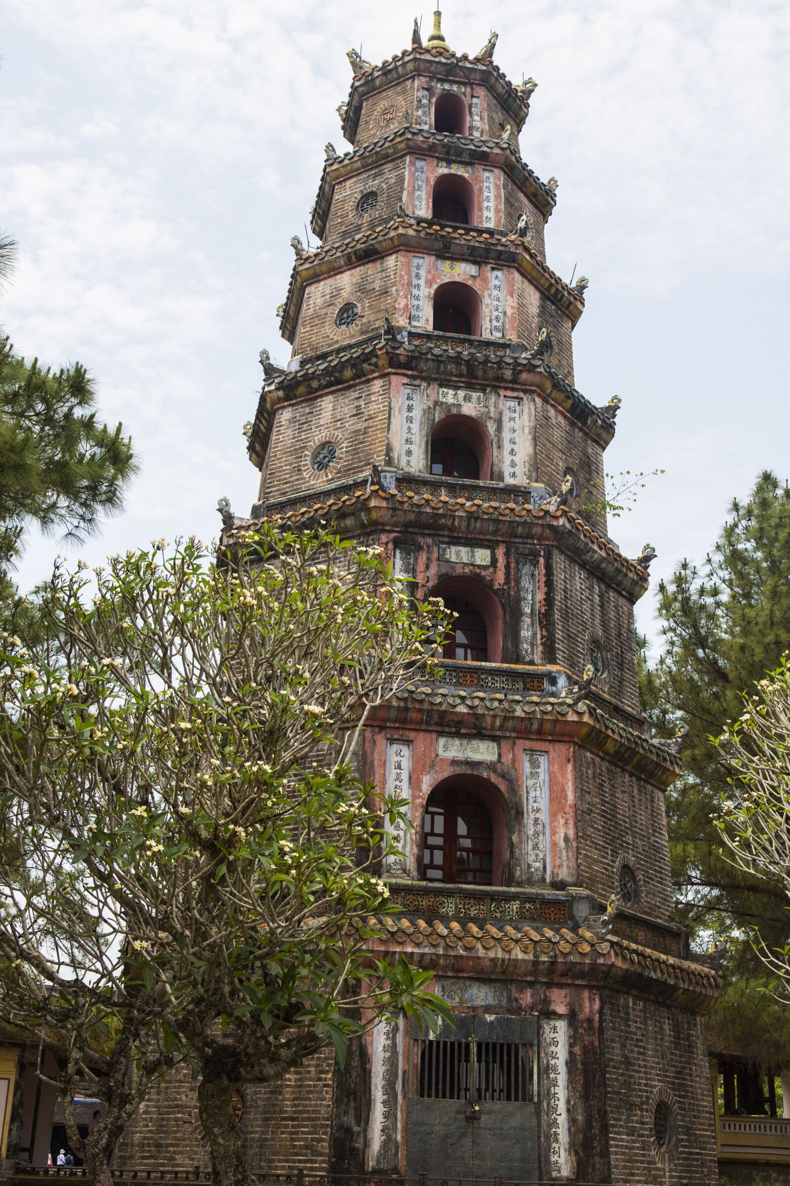 Canon EF 24-105mm F4L IS USM sample photo. Viet nam, hu photography