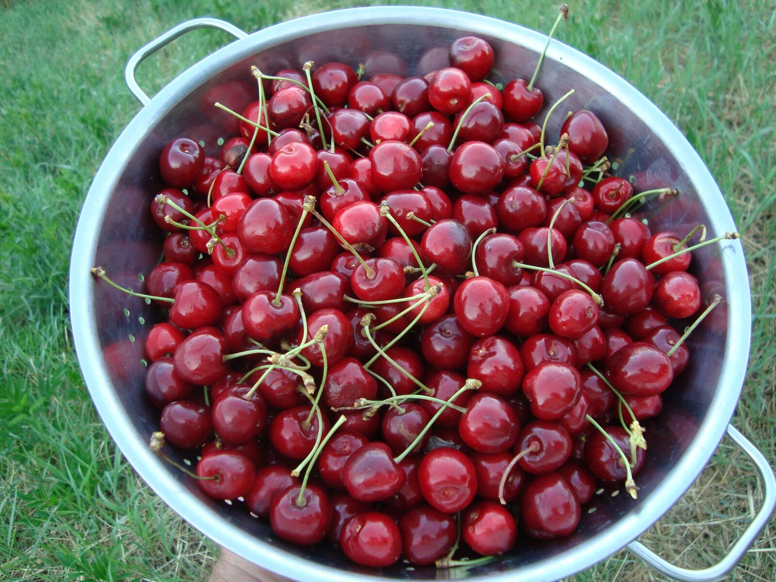 Sony Cyber-shot DSC-W120 sample photo. Cherries, fresh, fruit photography