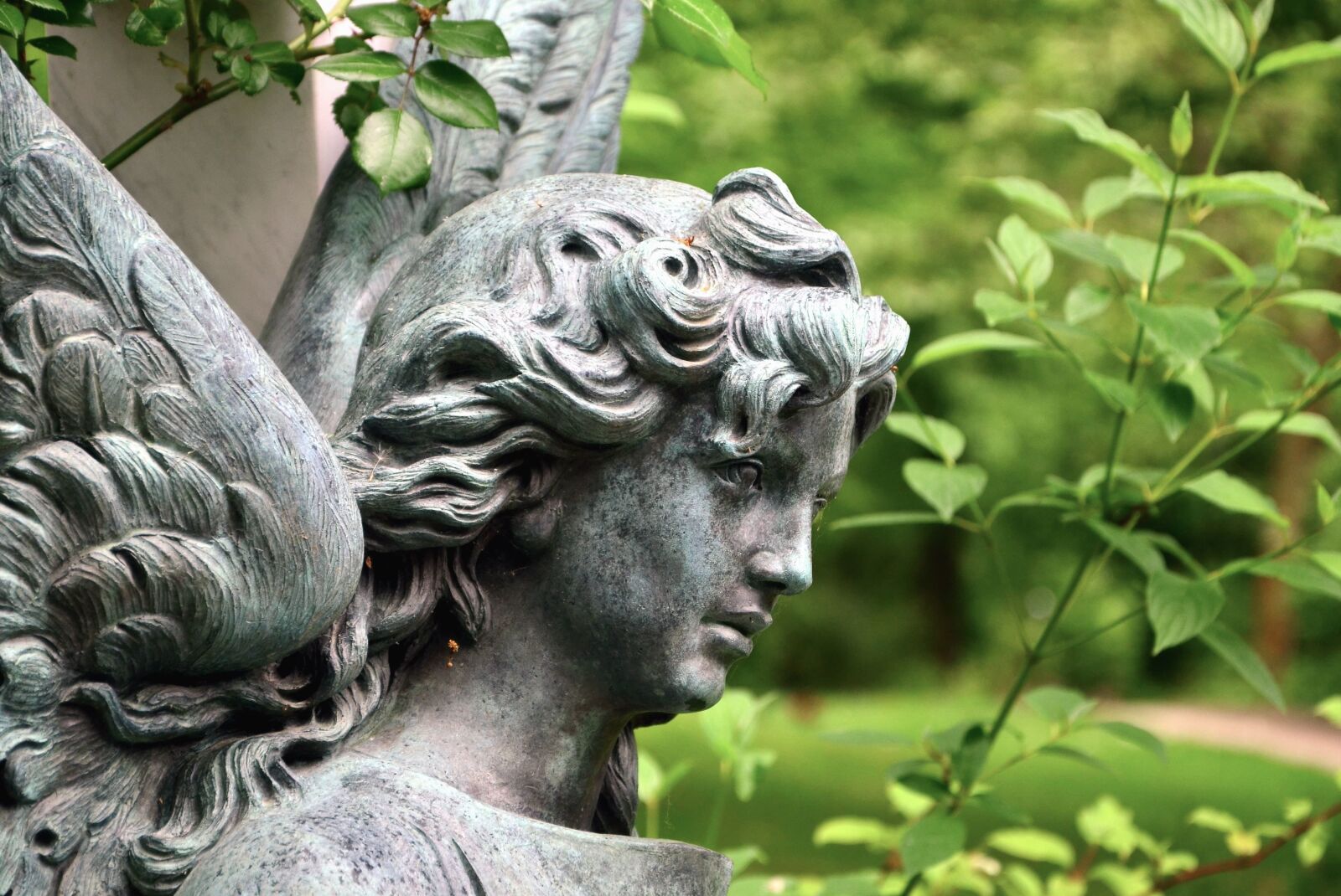 Nikon D5100 sample photo. Angel, sculpture, statue, garden photography