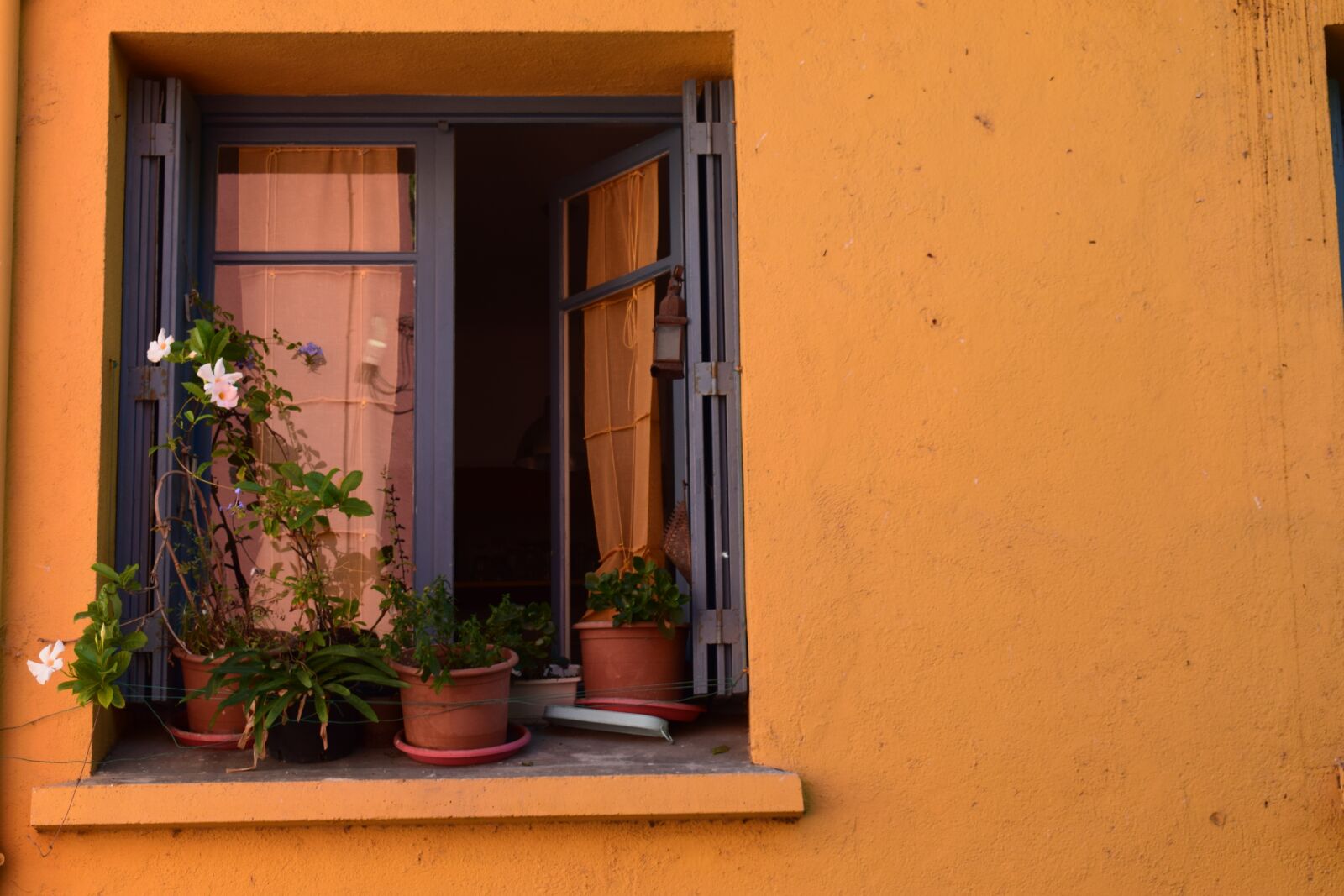 Nikon D3300 sample photo. Landscape, window, flower photography