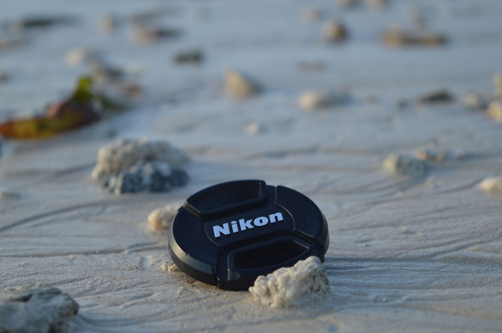 Nikon D3200 sample photo. Photography, nikon, macro photography