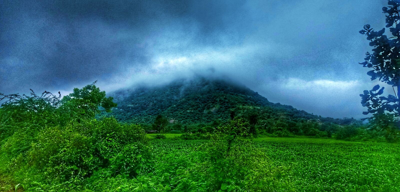 TECNO MOBILE LIMITED TECNO ID6 sample photo. Photo, beautiful, home photography