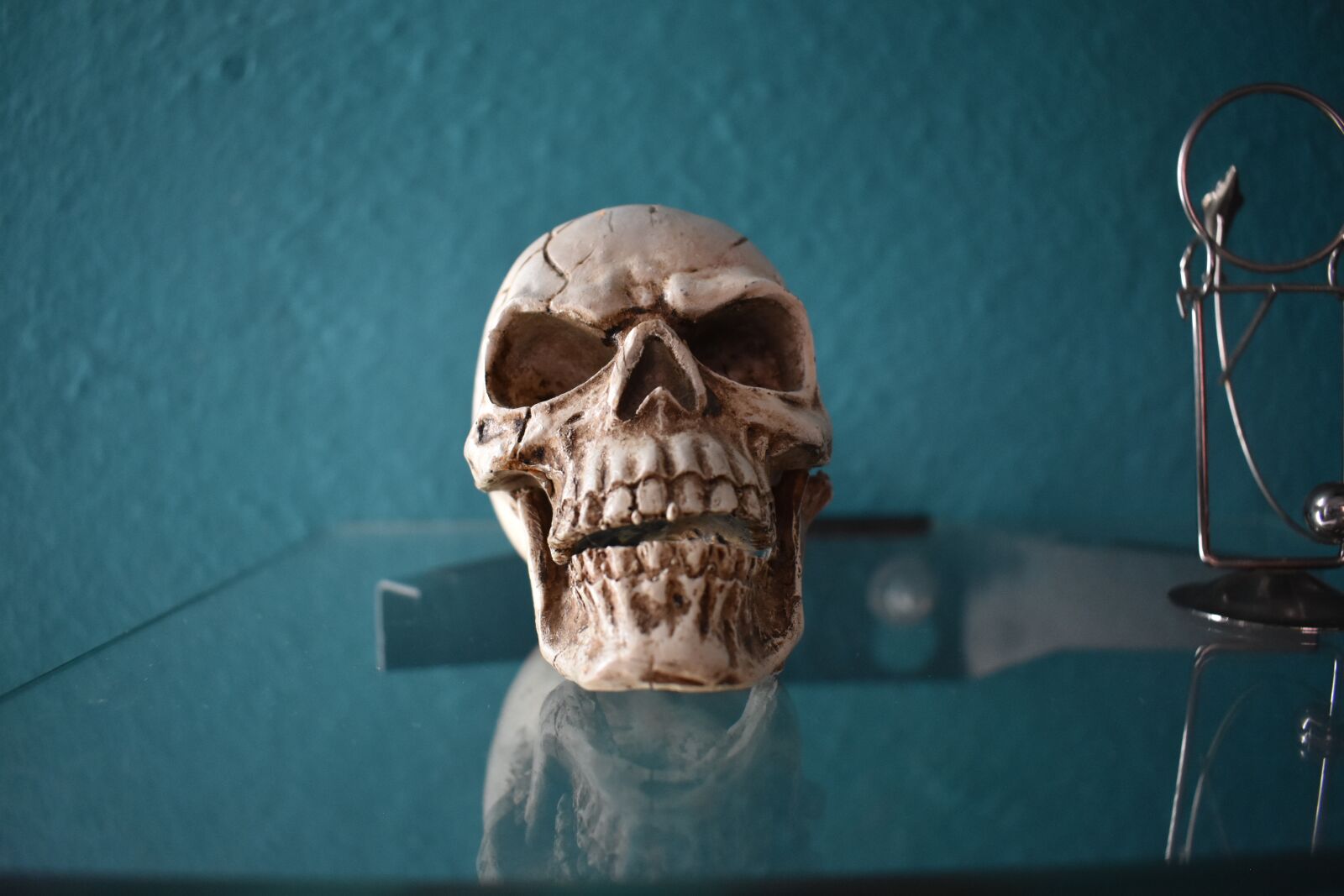 Nikon D3400 sample photo. Cráneo, huesos, death photography