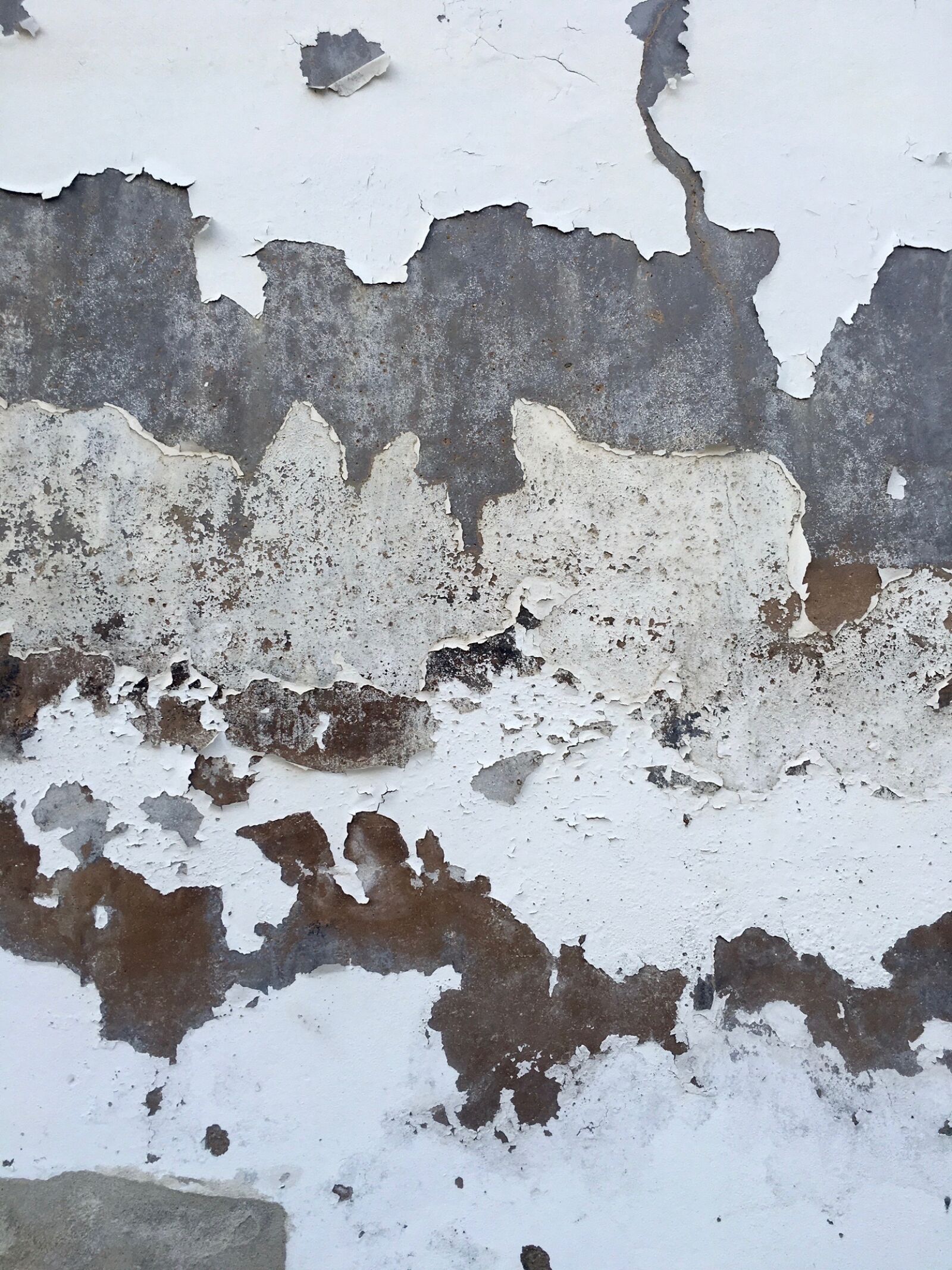 Apple iPhone 6s sample photo. Wall, texture, white photography