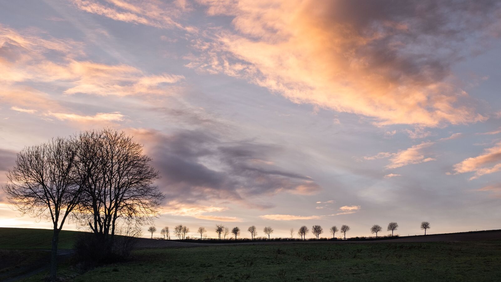 Fujifilm X100F sample photo. Trees, silhouettes, silhouette photography