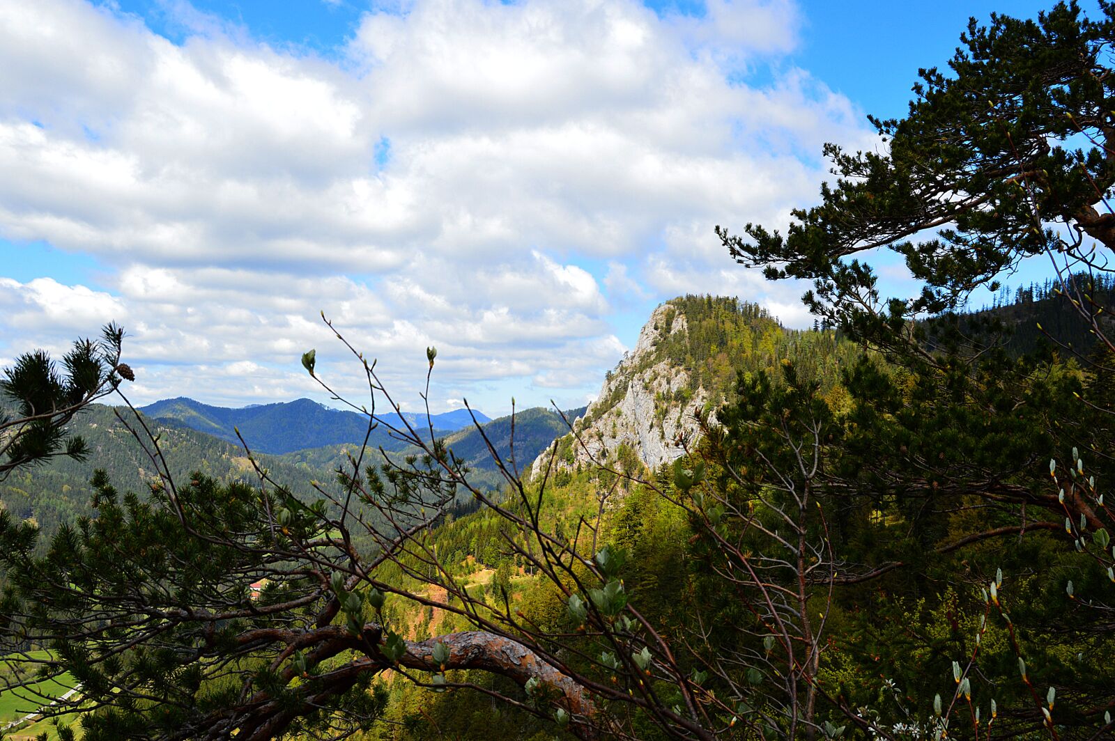 Nikon D3200 sample photo. Schwarzau, mountains, falkenstein photography