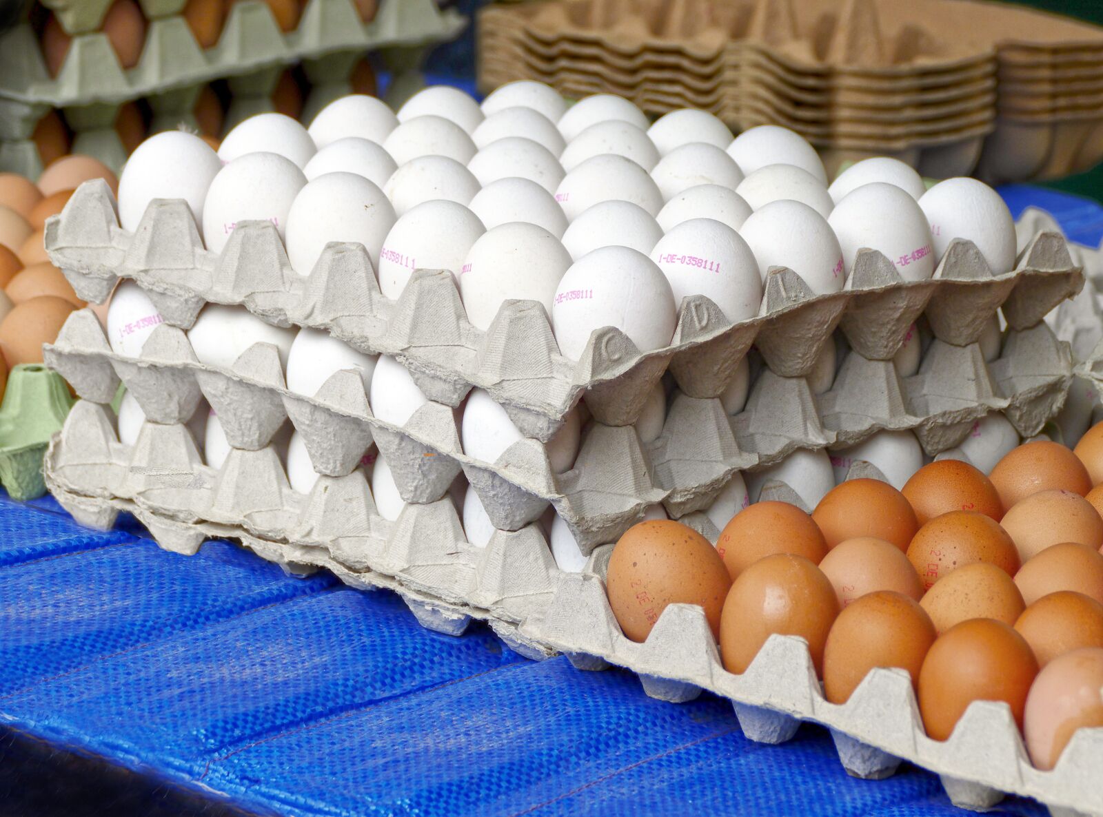 Panasonic Lumix DMC-FZ1000 sample photo. Egg, hen's egg, egg photography