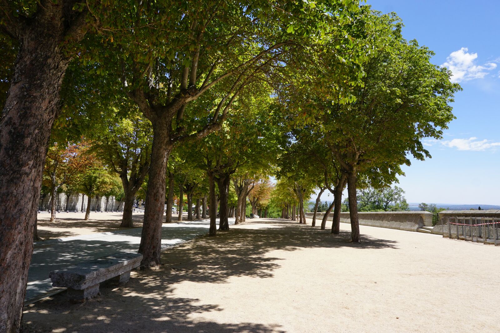 Sony a6000 sample photo. Spain, trees, summer photography