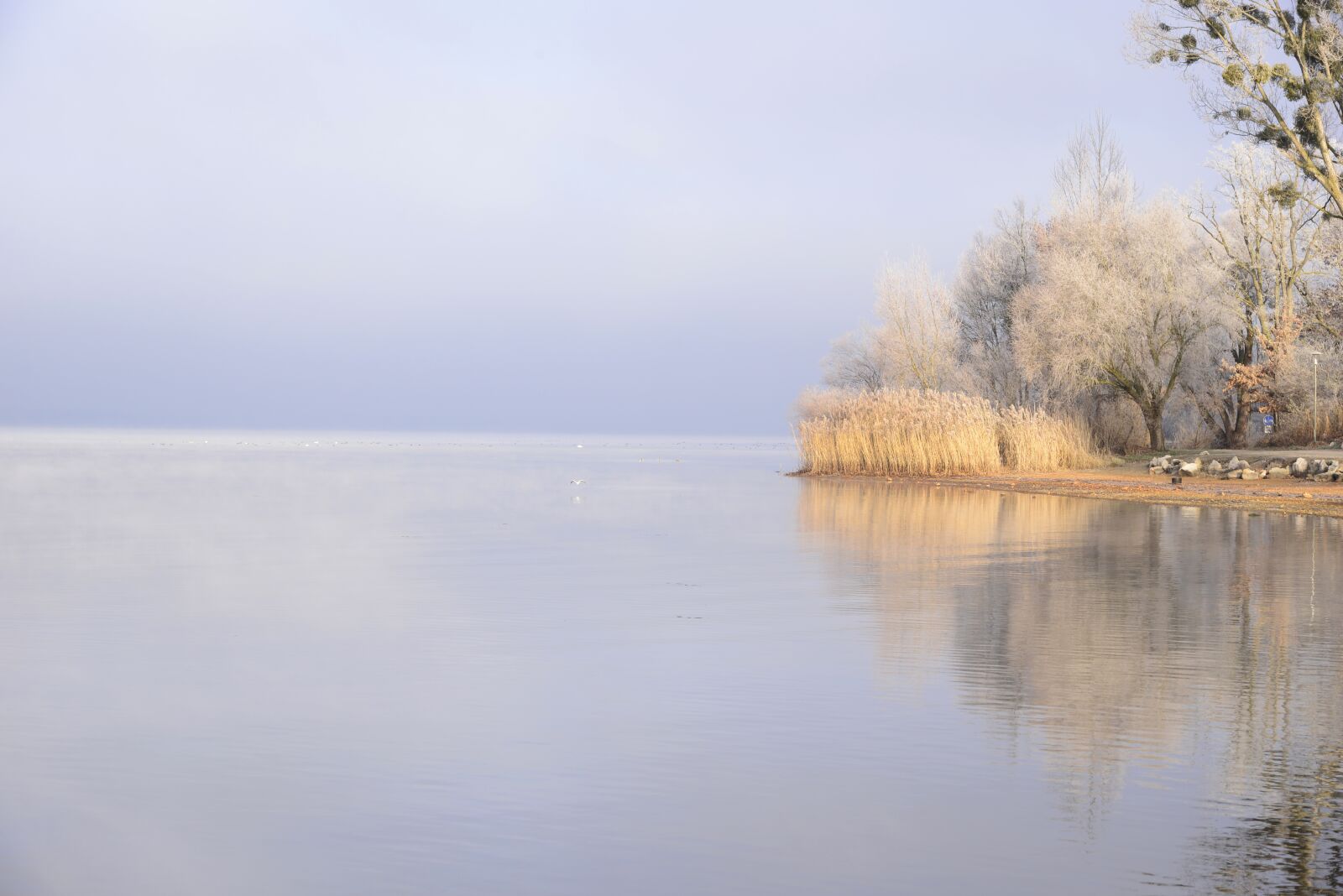 Nikon D610 sample photo. Seascape, lake, nature photography