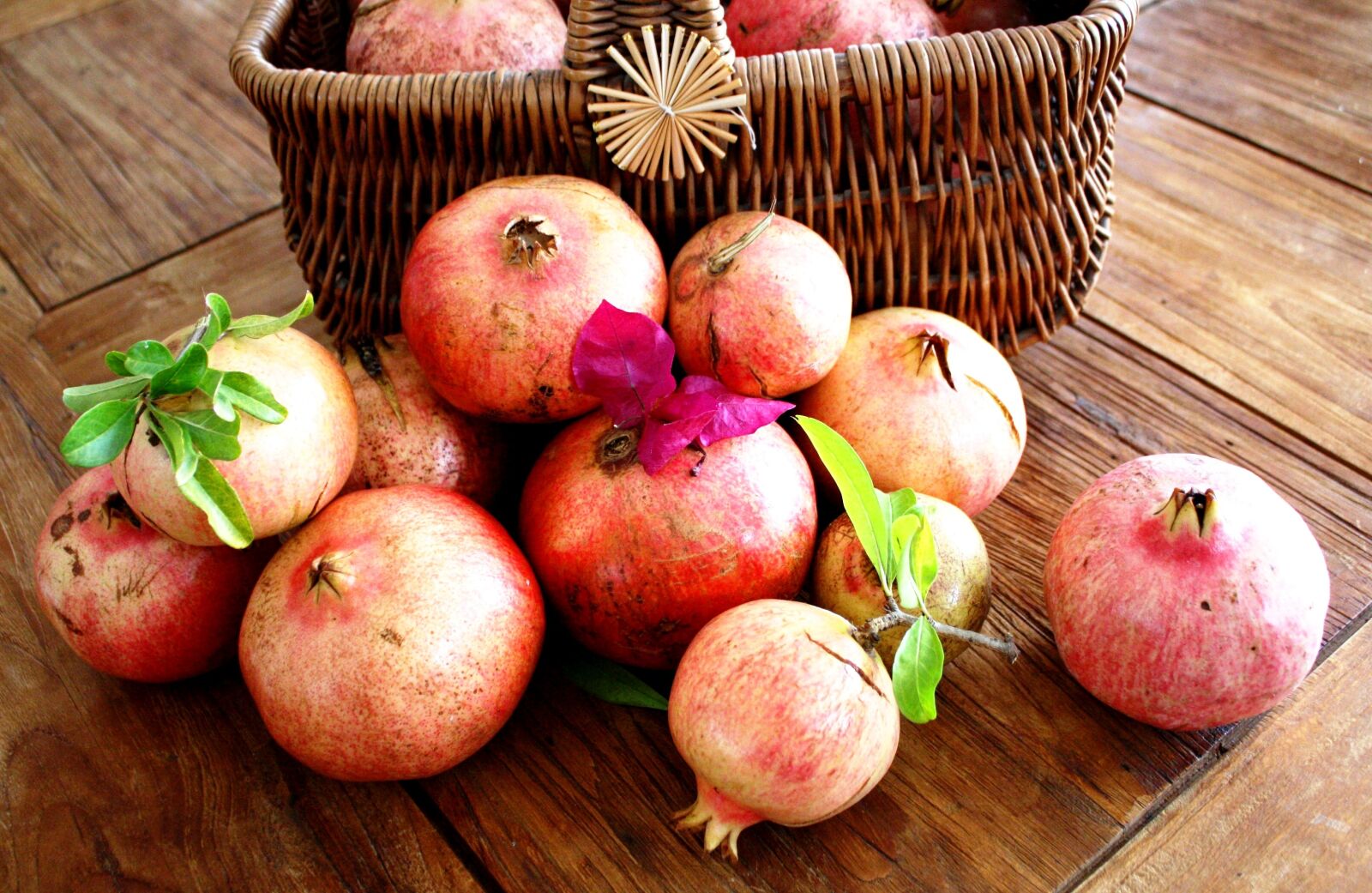 Canon EOS 1000D (EOS Digital Rebel XS / EOS Kiss F) sample photo. Fruit, fruit of pomegranate photography