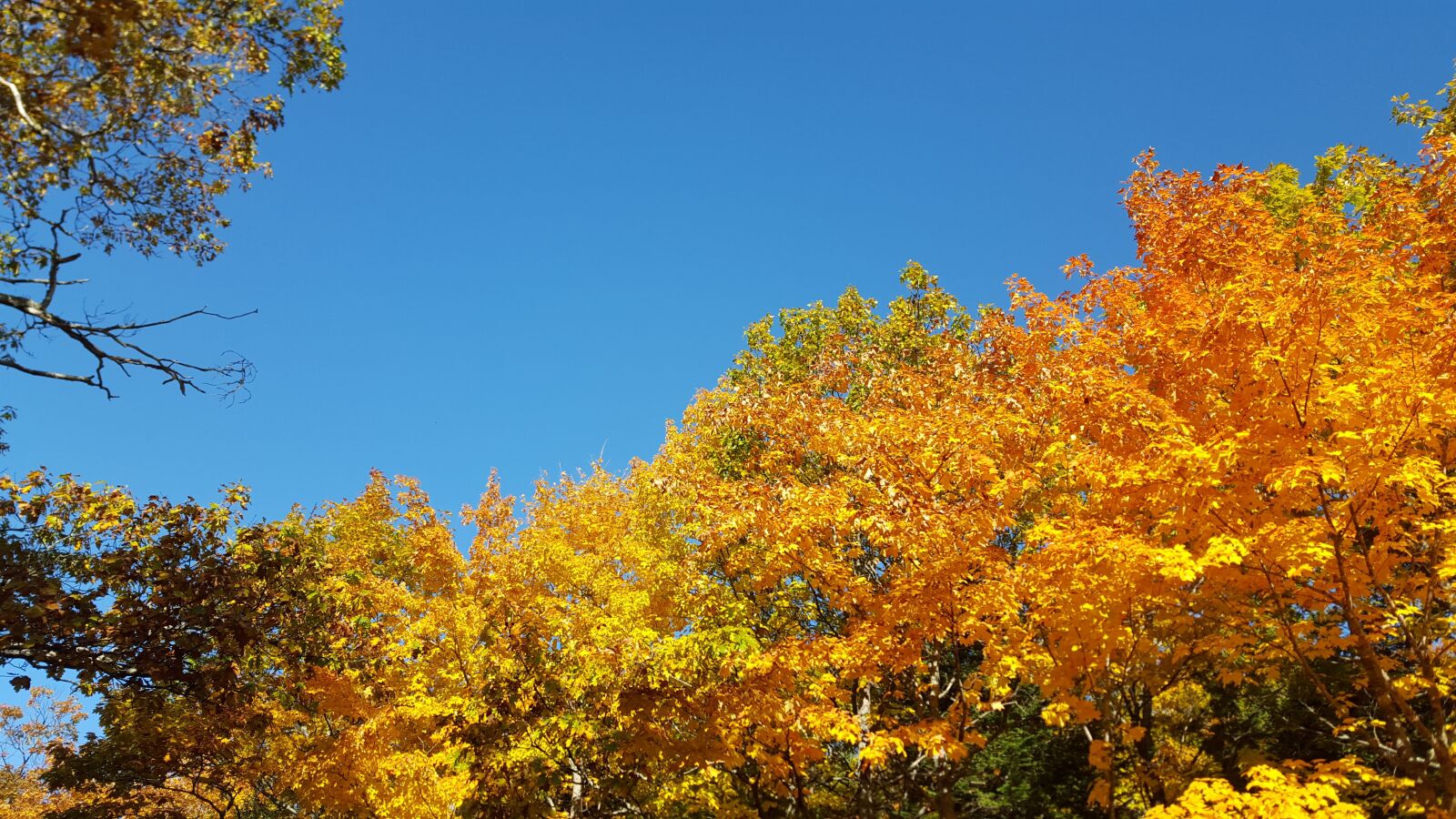 Samsung Galaxy S6 sample photo. Autumn, michigan, copper harbor photography