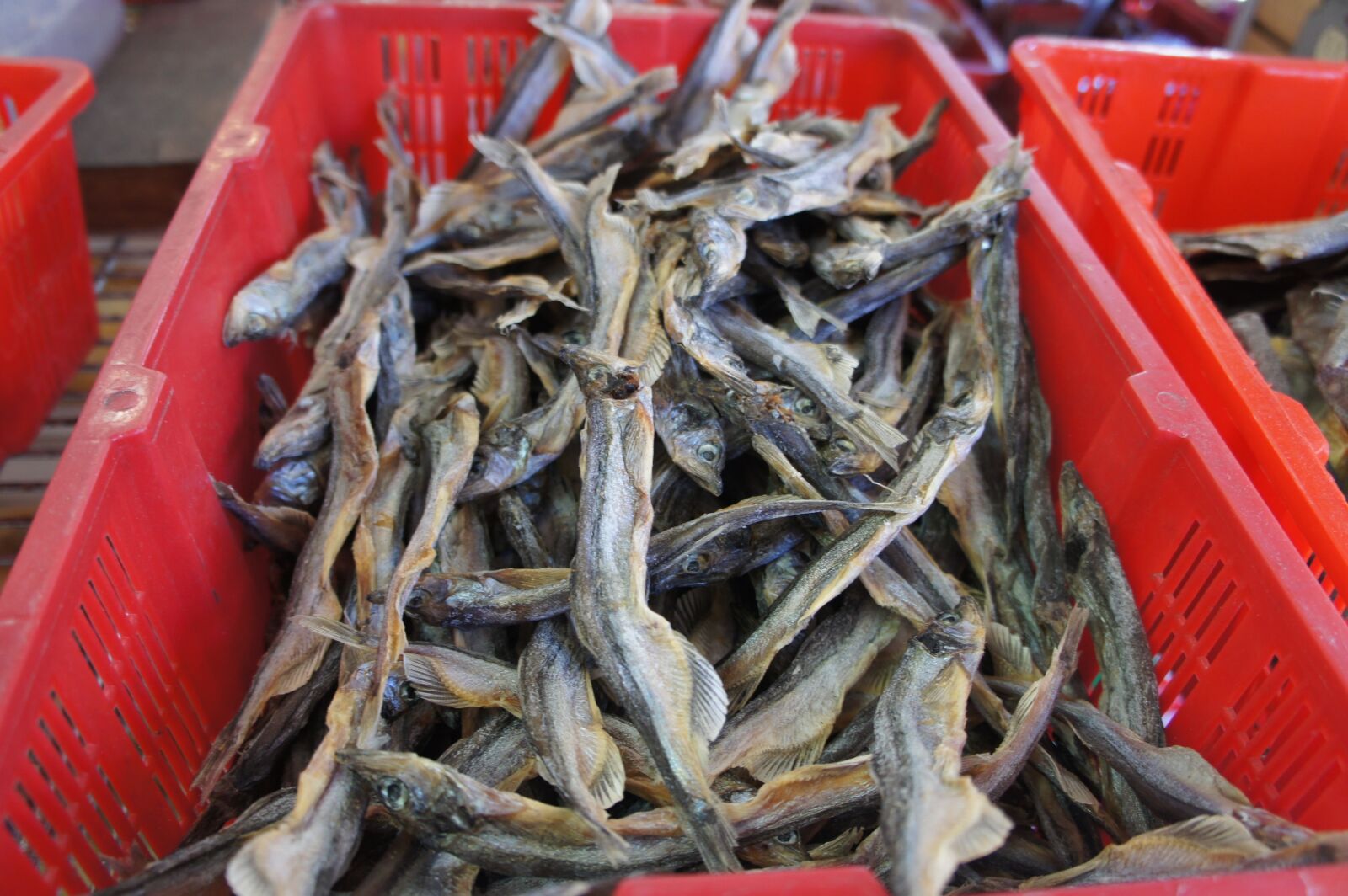 Sony Alpha NEX-5 sample photo. Dried, fish, food photography