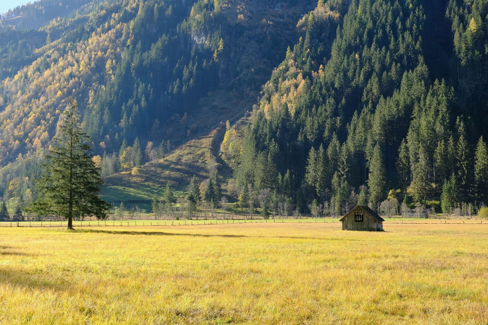Fujifilm X-T20 sample photo. Nature, landscape, alm photography