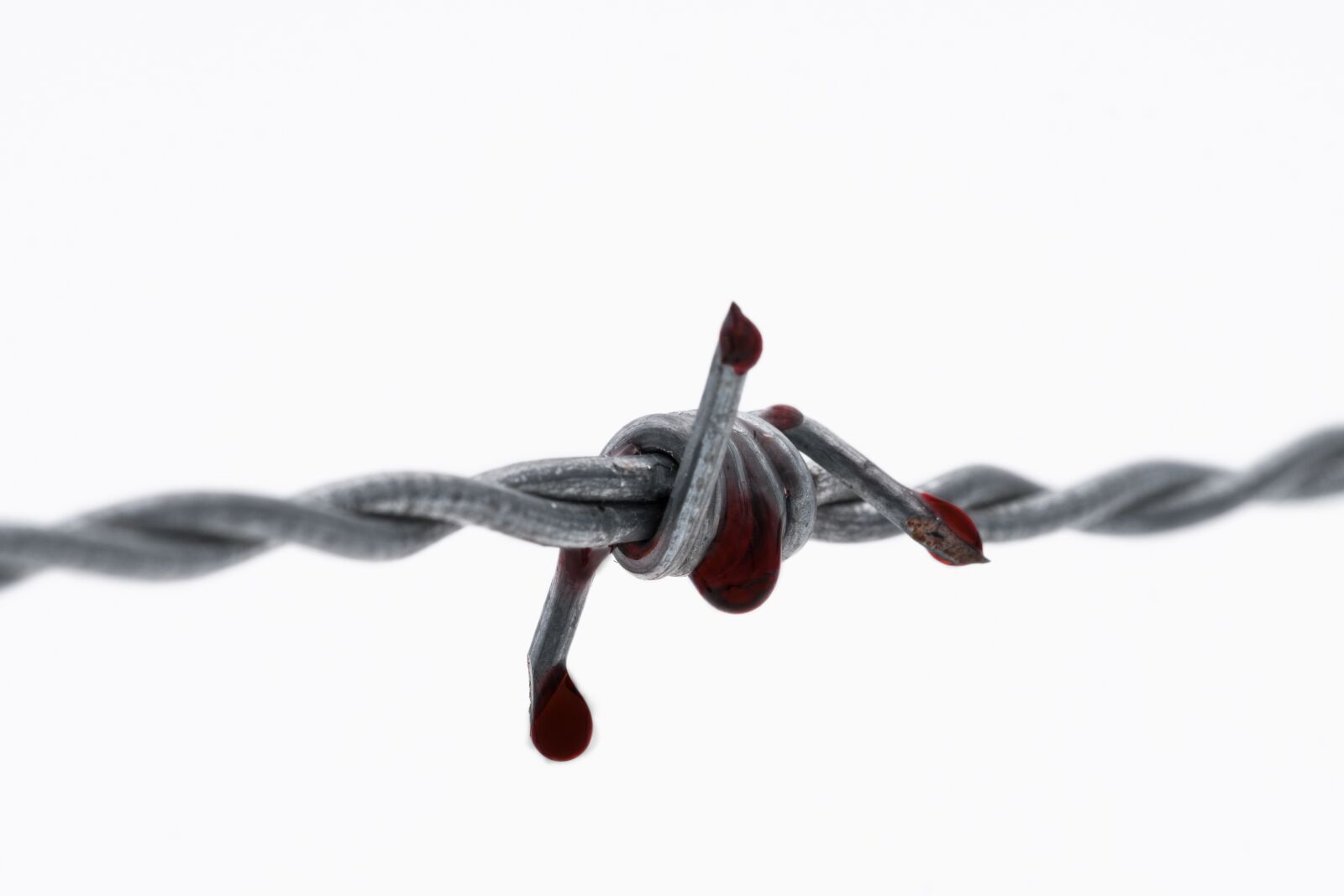 Fujifilm X-T2 + Fujifilm XF 80mm F2.8 R LM OIS WR Macro sample photo. Barbed wire, blood, bloody photography