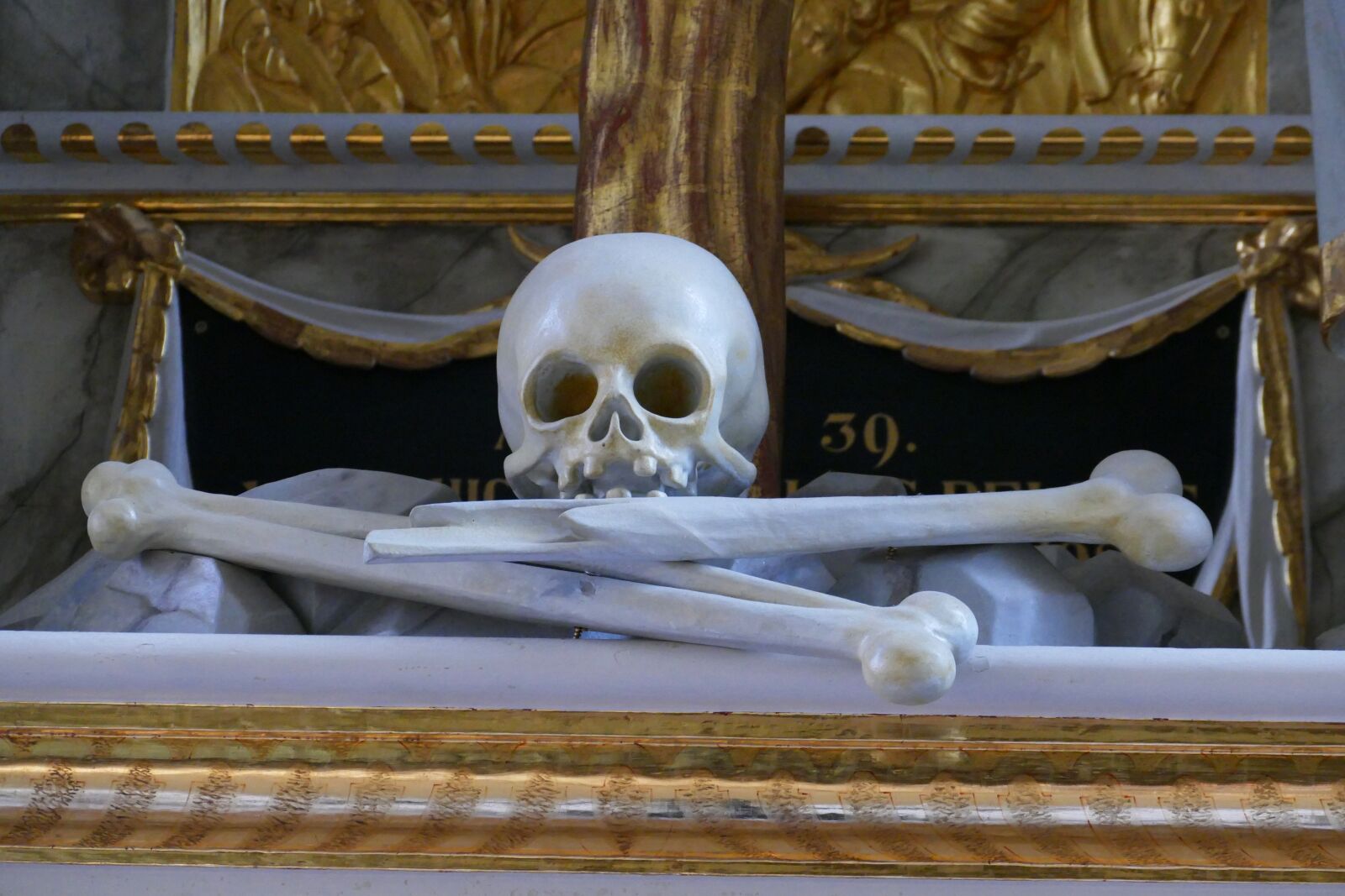 Panasonic Lumix DMC-FZ1000 sample photo. Bone, skull, skull and photography