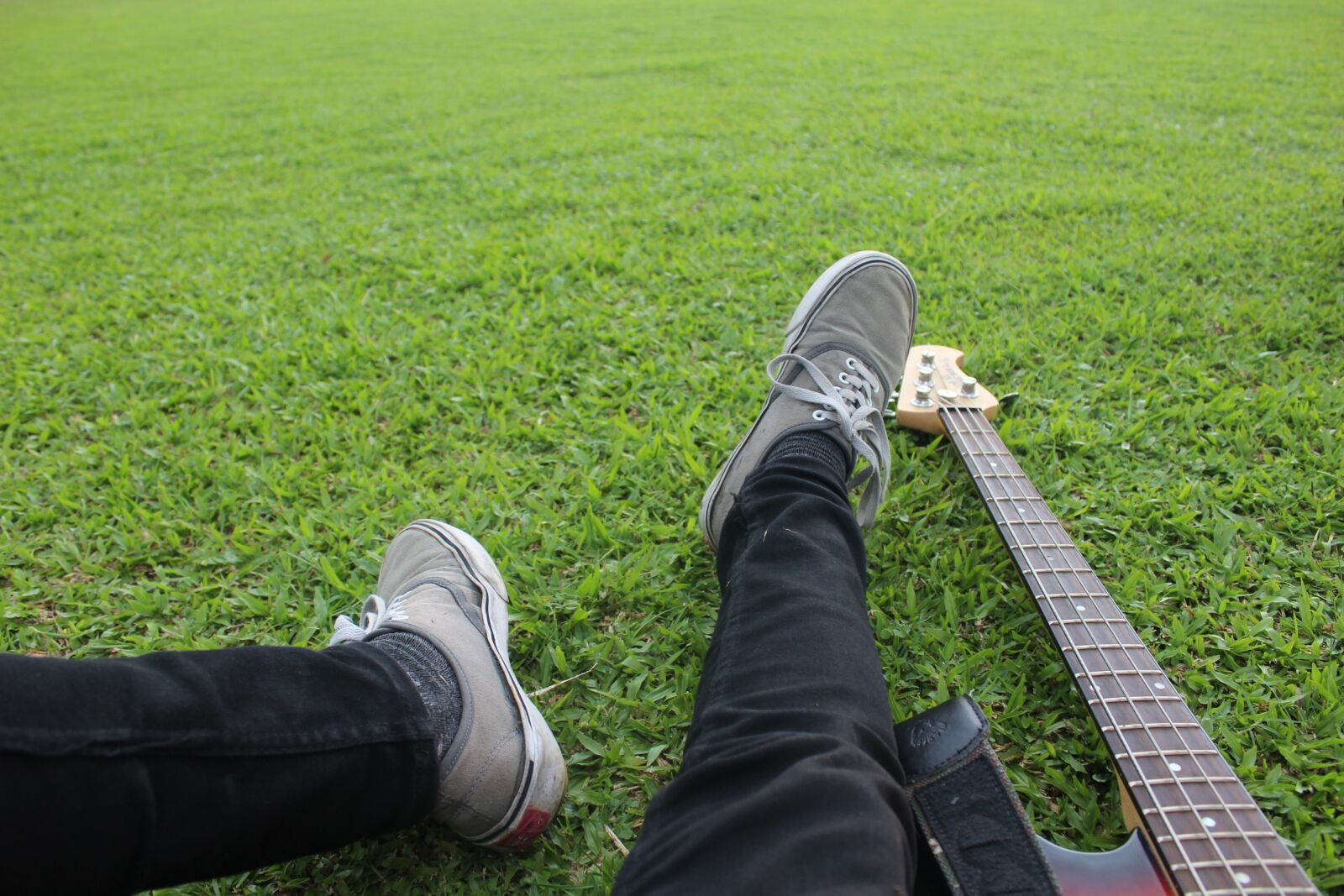 Canon EOS 1200D (EOS Rebel T5 / EOS Kiss X70 / EOS Hi) sample photo. Grass, field, relaxation photography