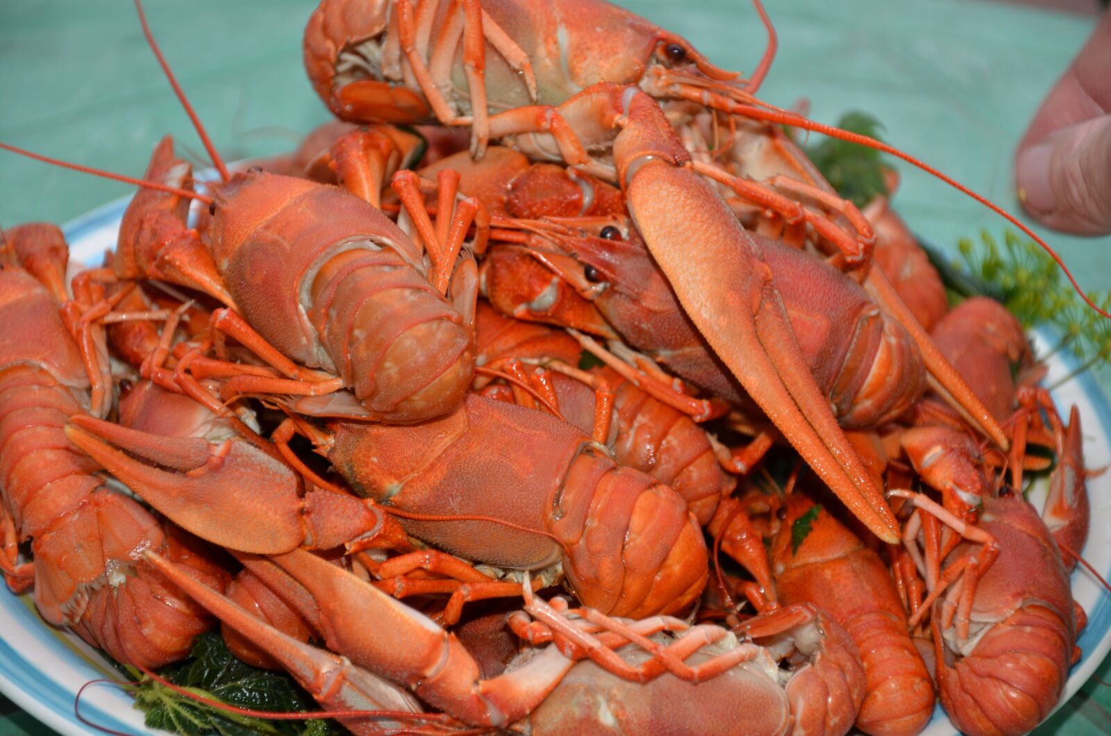 Nikon D7000 sample photo. Boiled lobster, food, cooking photography