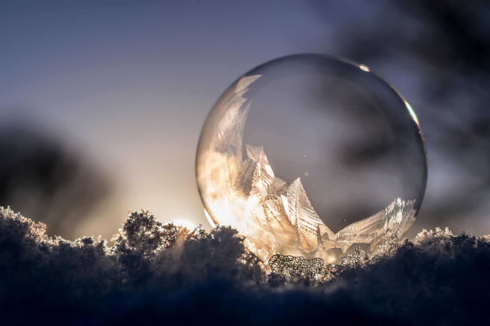 Nikon D5300 sample photo. Soap bubble, frozen, frozen photography