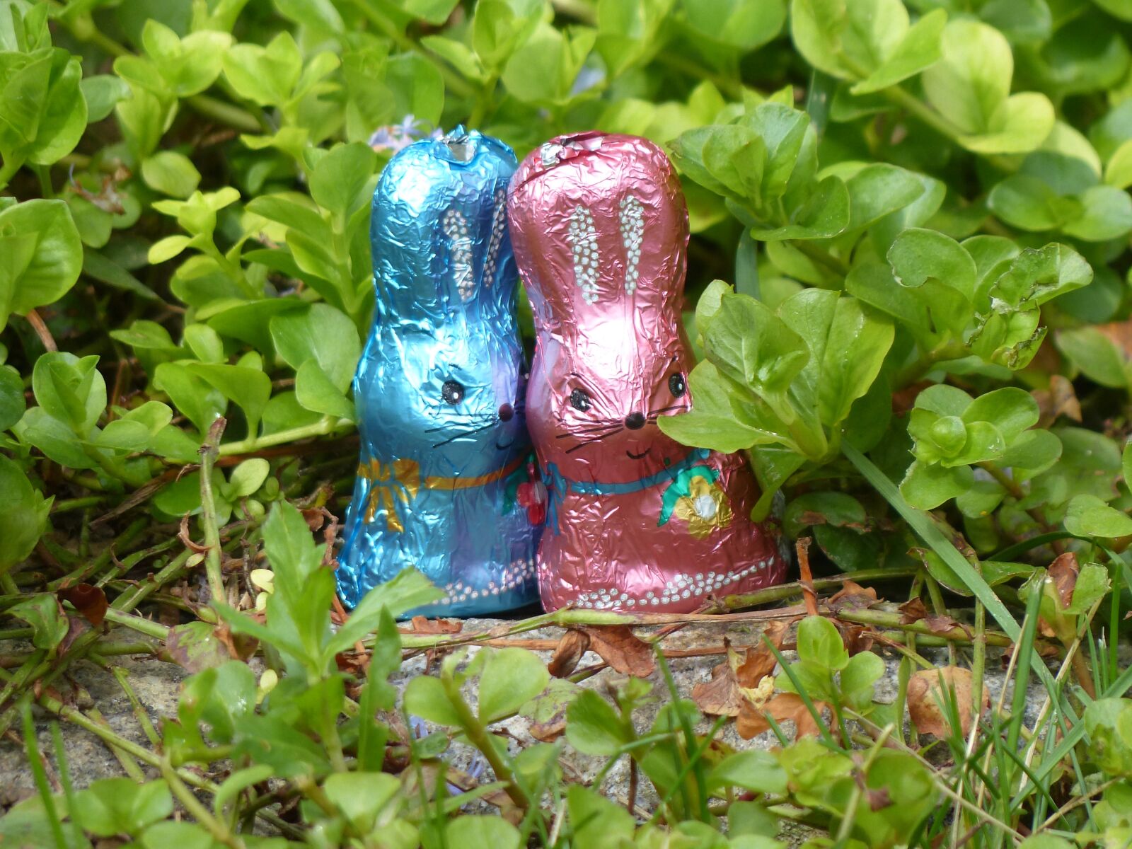 Panasonic Lumix DMC-FZ200 sample photo. Rabbit, easter, spring photography