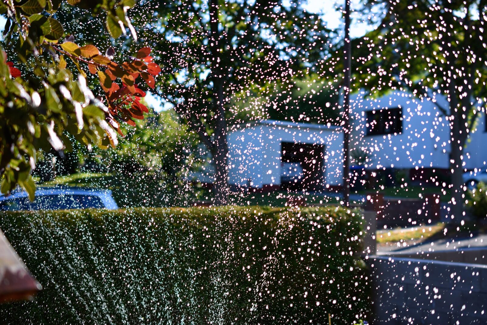 Nikon D7200 sample photo. Water sprinklers, drop of photography
