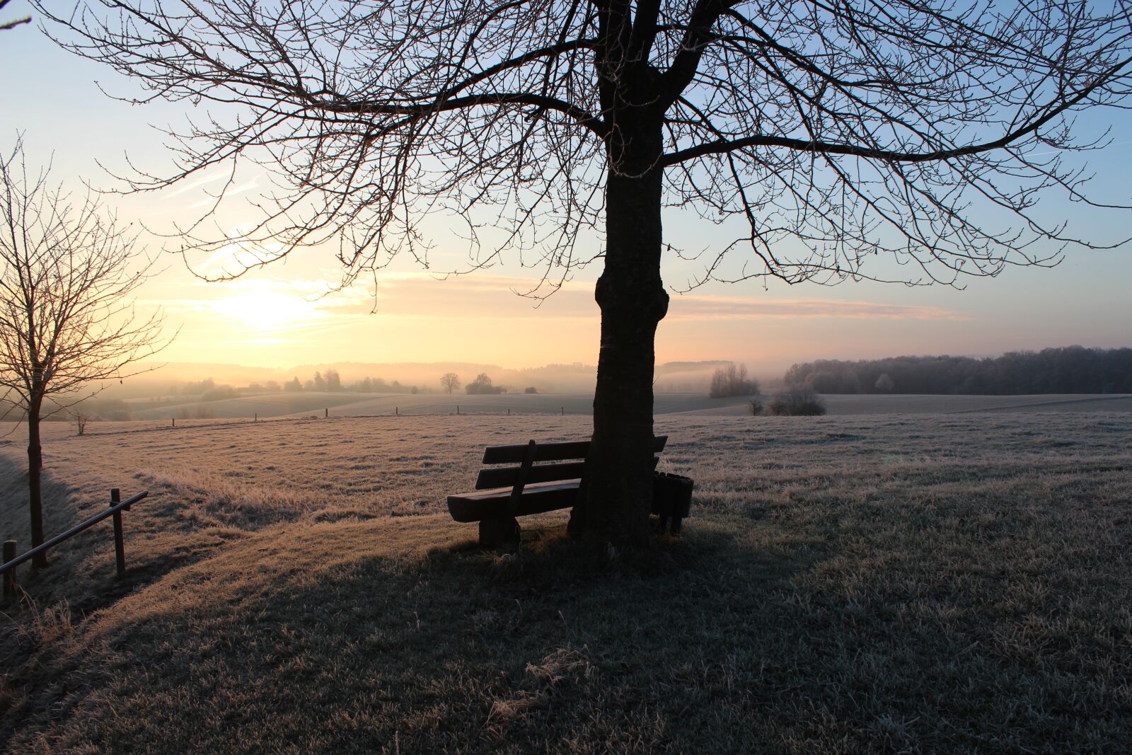 Canon EOS 600D (Rebel EOS T3i / EOS Kiss X5) sample photo. Hoarfrost, winter, cold photography