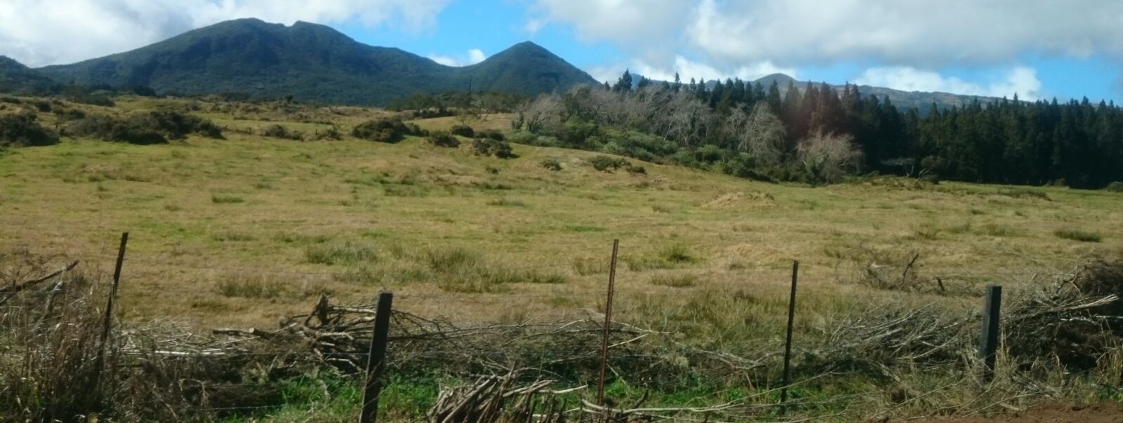 Sony Xperia Z1 Compact sample photo. Landscape, of, the photography