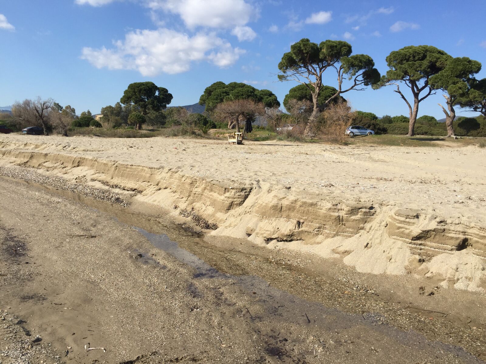 iPhone 6 back camera 4.15mm f/2.2 sample photo. Sand, trees, ground photography