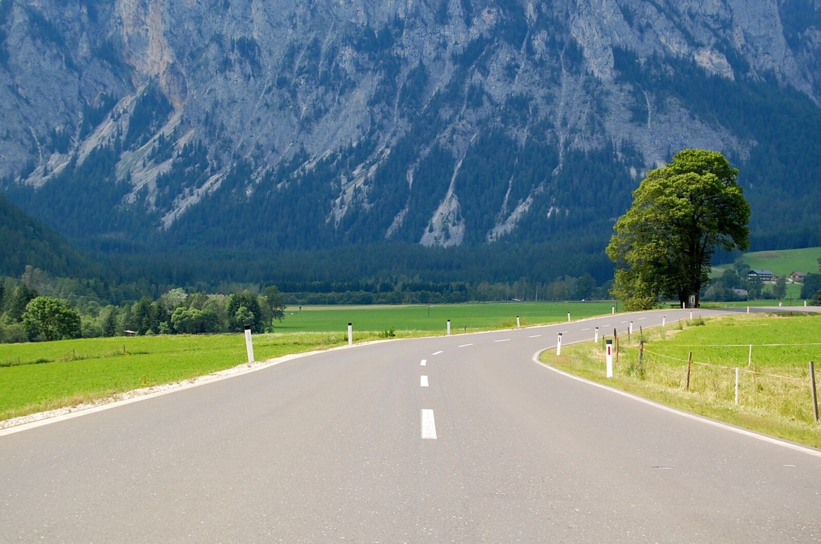 Nikon D40 sample photo. Road, highway, forest road photography