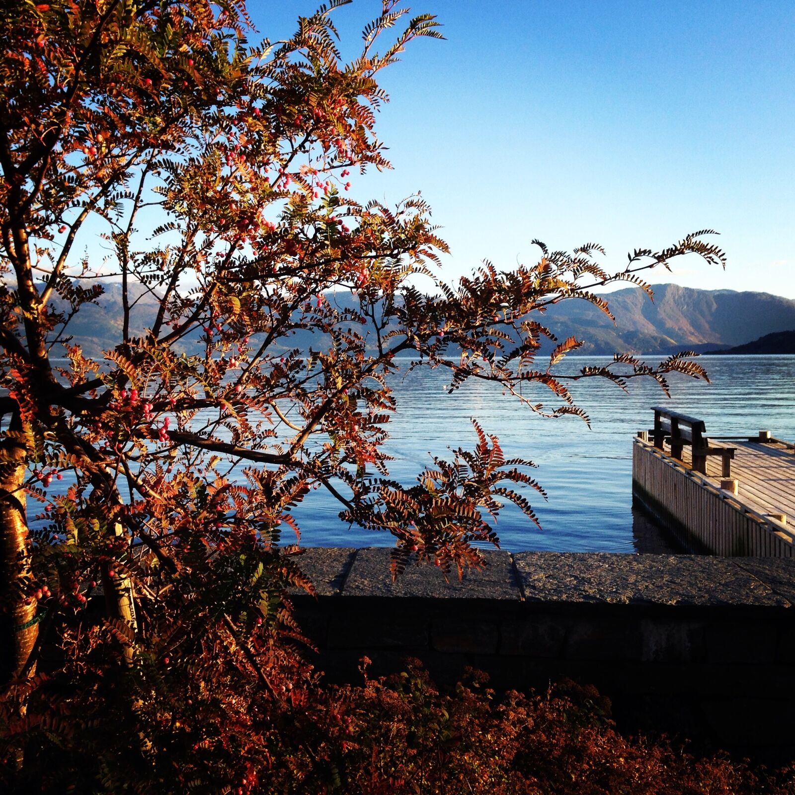 Apple iPhone 5 sample photo. Autumn, mountain, norway photography