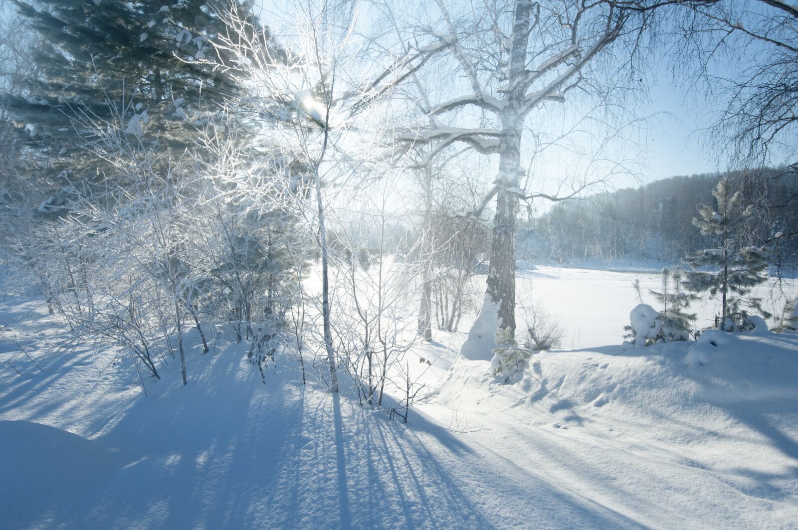 Nikon D90 sample photo. Winter, snow, nature photography