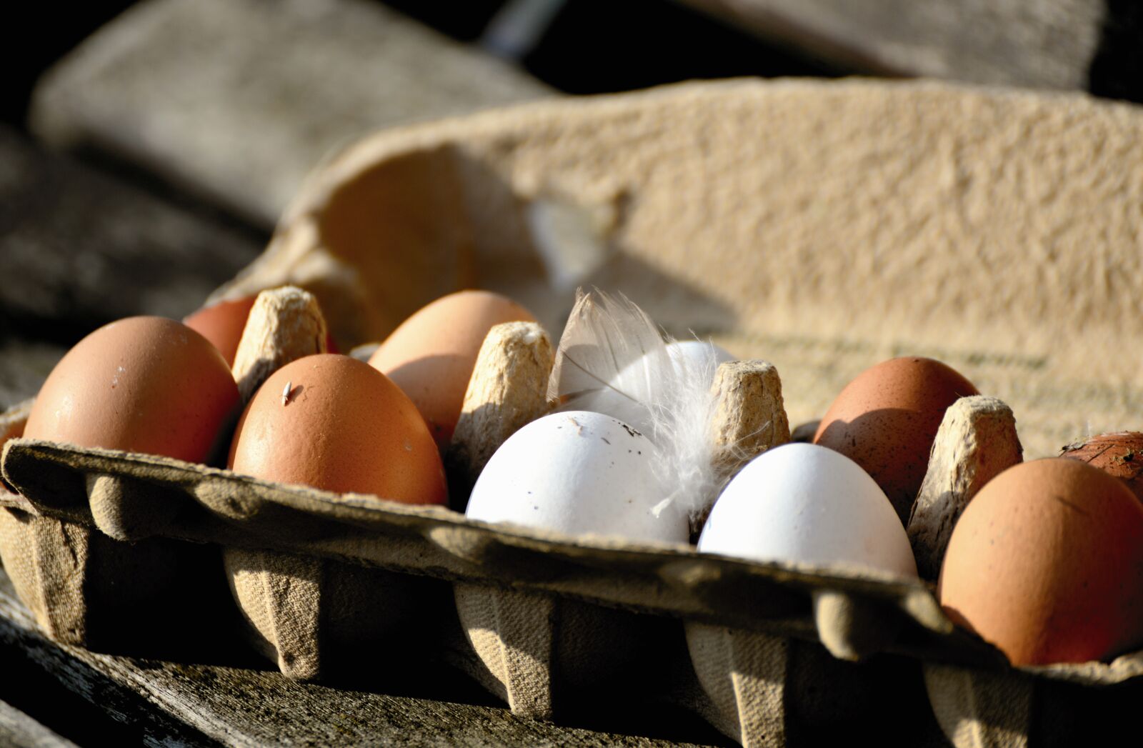 Nikon D610 sample photo. Egg, hen's egg, bio photography