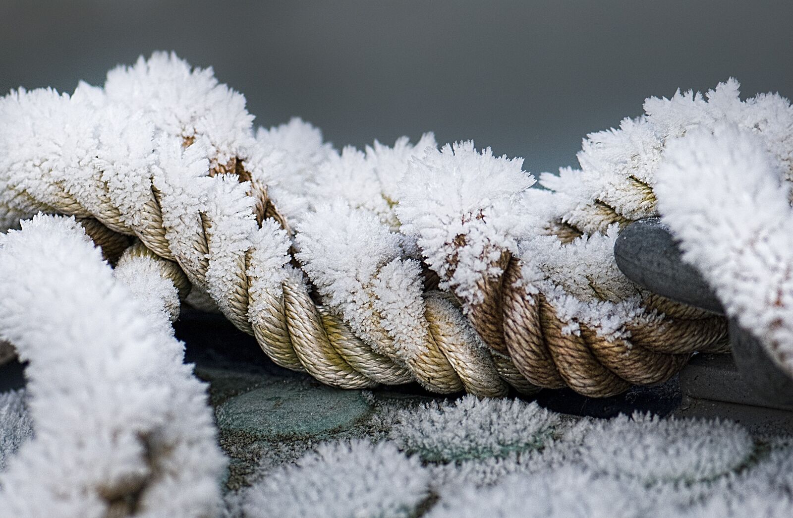 Nikon D60 sample photo. Winter, rope, ice photography