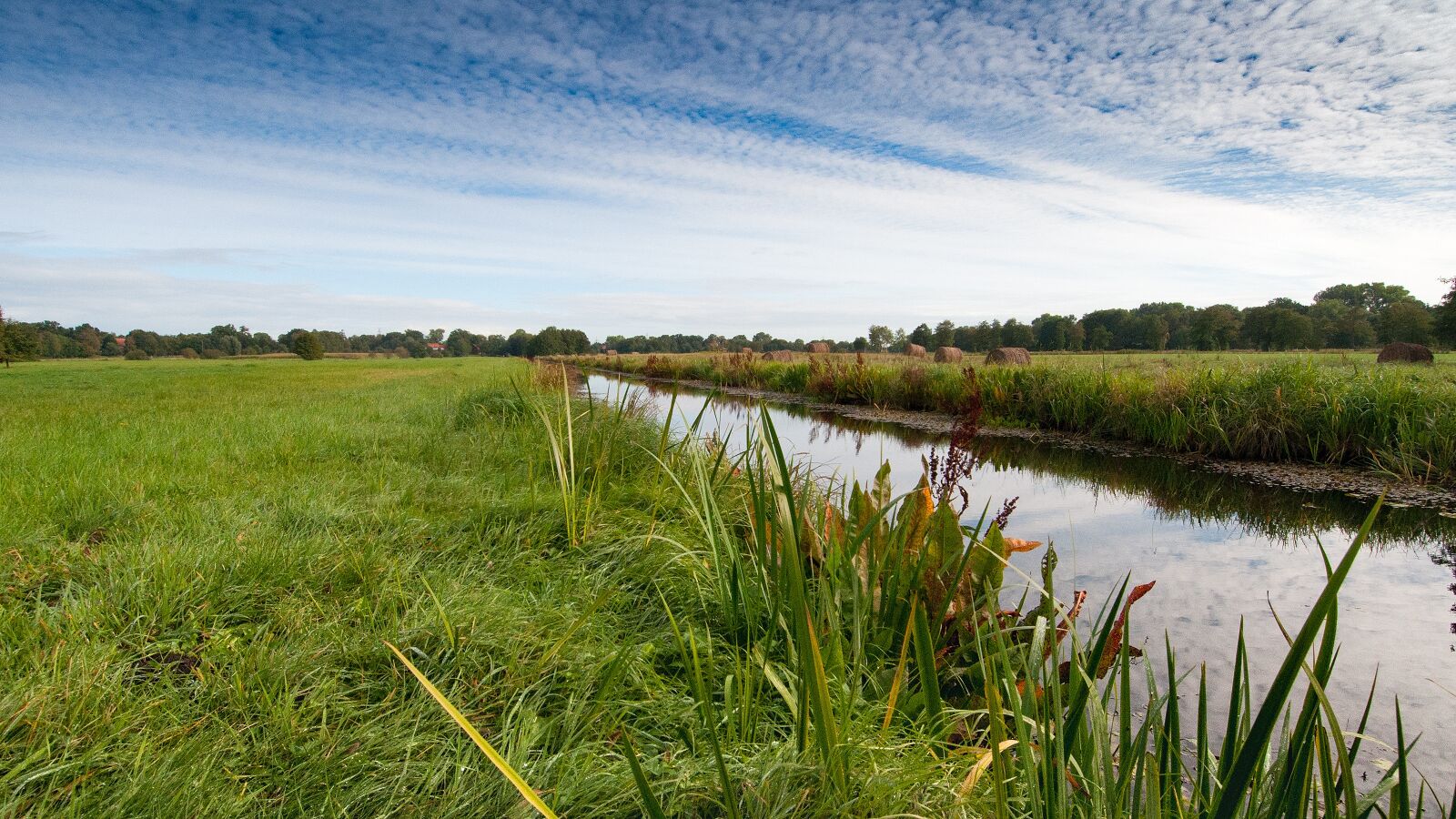 Nikon D90 sample photo. Blockland, bremen, northern germany photography
