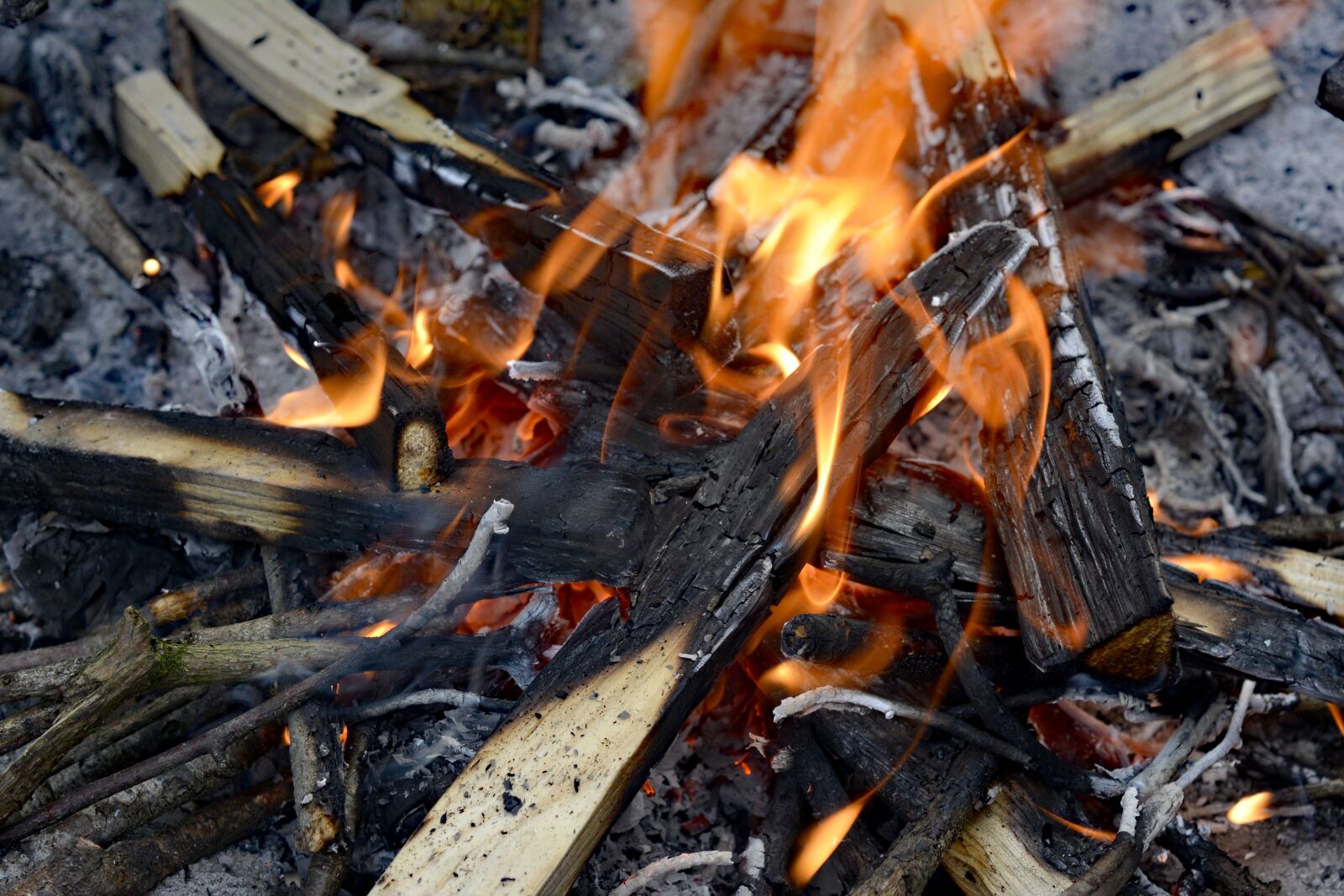 Nikon D7100 sample photo. Fire, grilling, burn photography