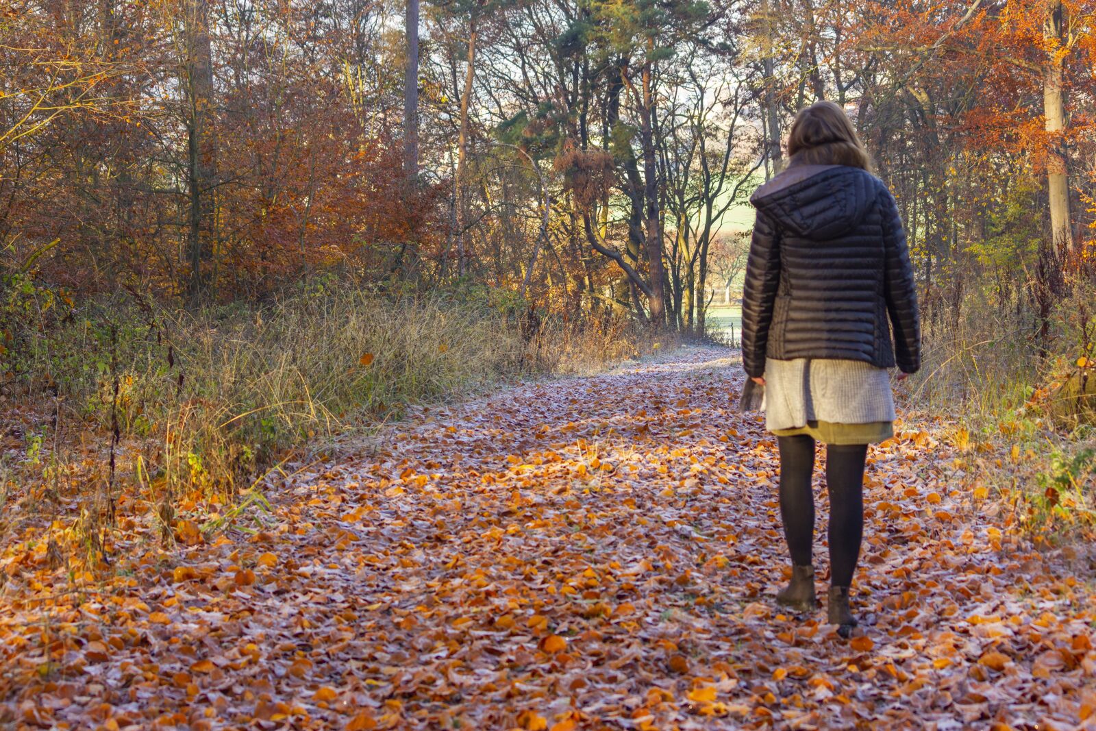 Canon EOS 550D (EOS Rebel T2i / EOS Kiss X4) sample photo. Forest, woman, girl photography