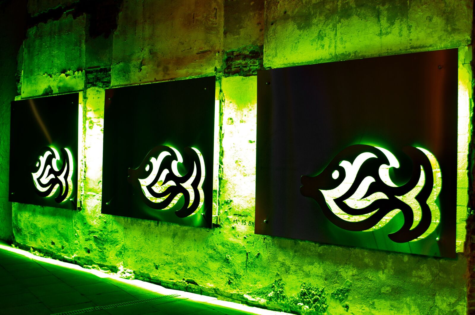 Nikon D5100 sample photo. Fish, signs, green photography