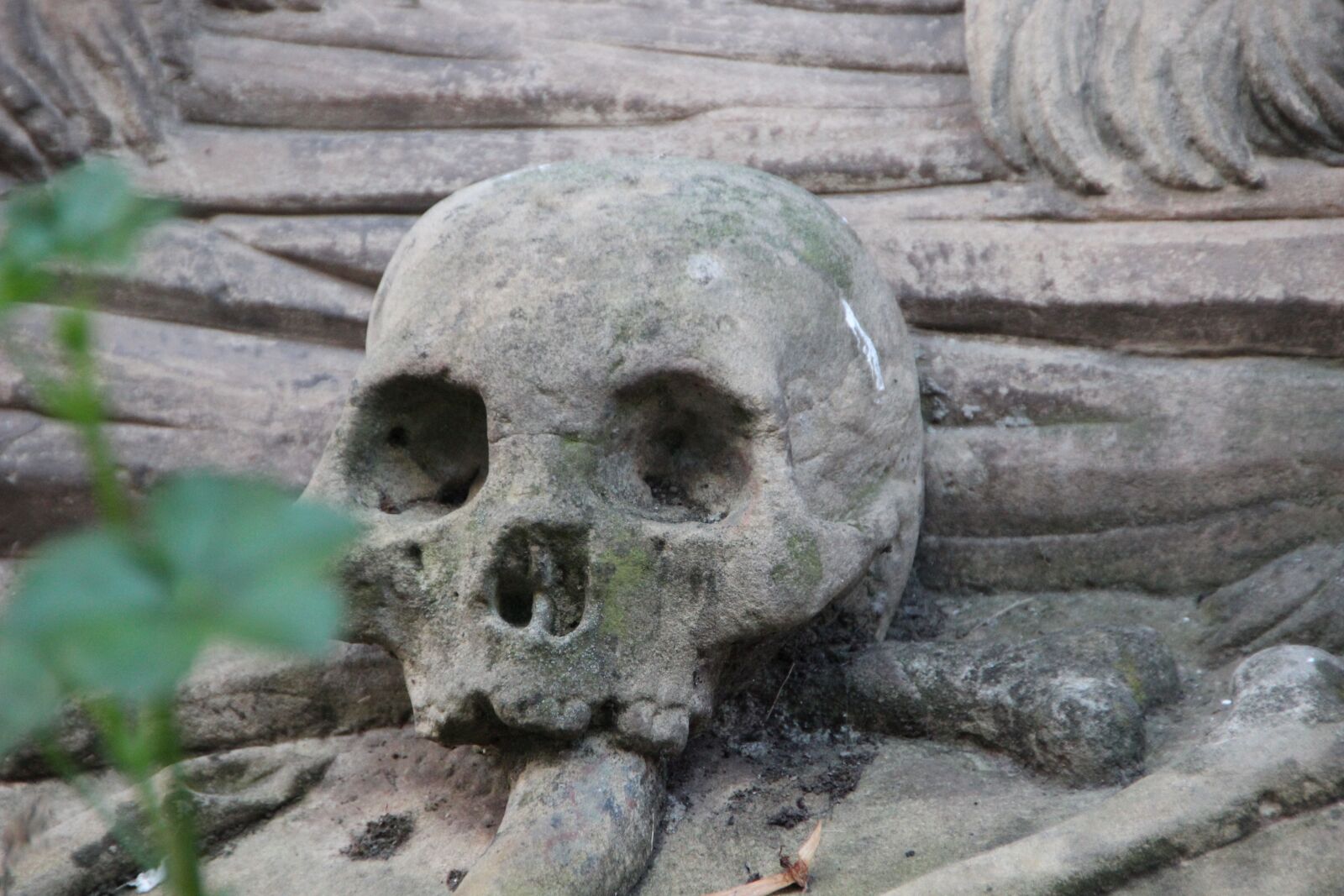Canon EOS 600D (Rebel EOS T3i / EOS Kiss X5) sample photo. Skull, skull and crossbones photography