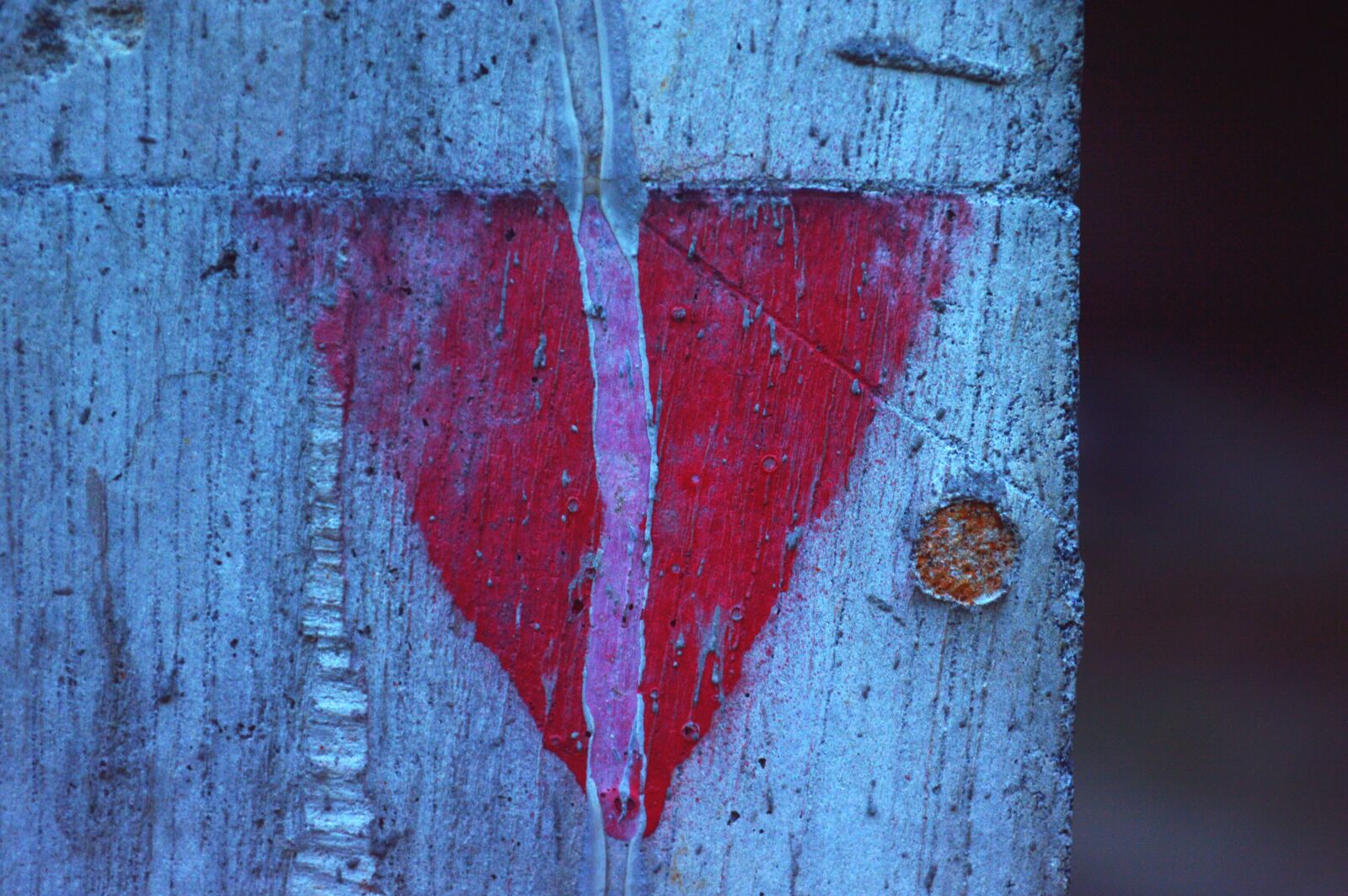 Nikon D3200 sample photo. Symbol, design, wall photography