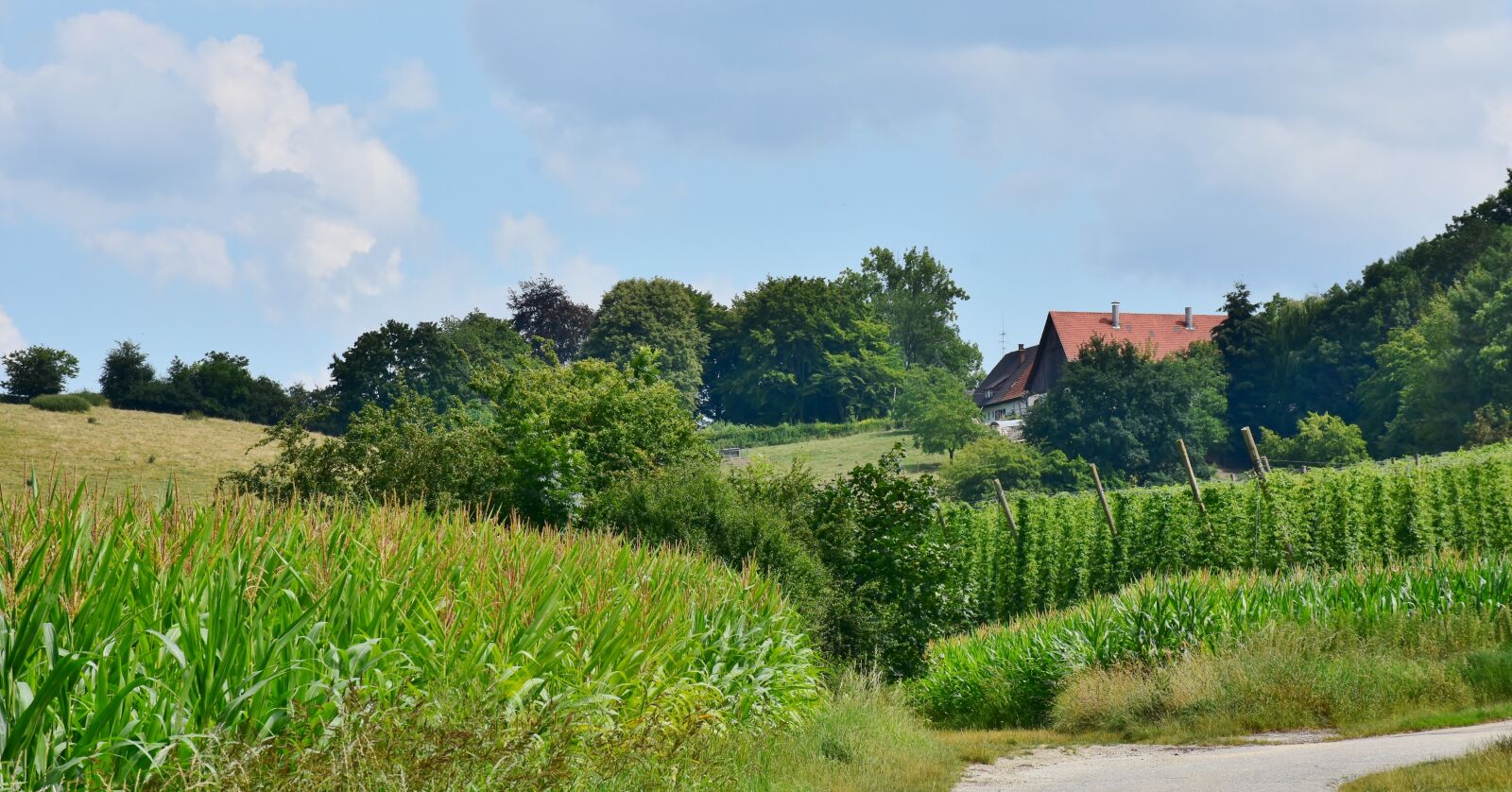Nikon D7200 sample photo. Agriculture, hof, farm photography