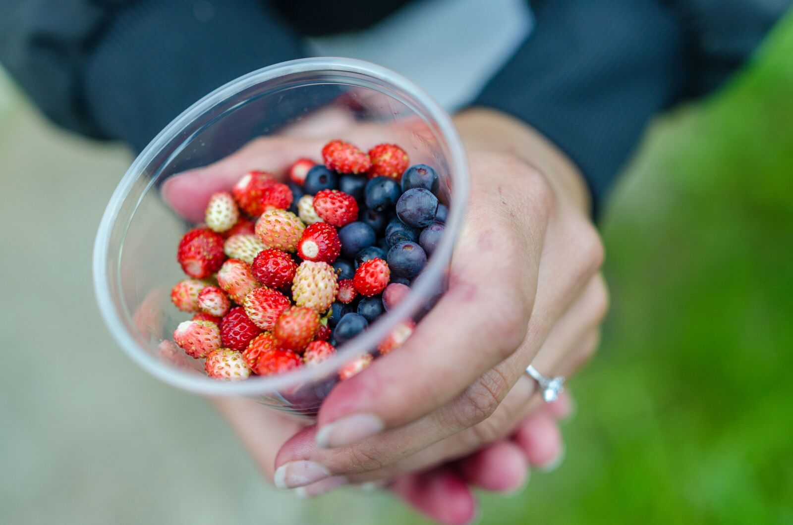 Nikon D5100 sample photo. Background, berry, black, blackberry photography