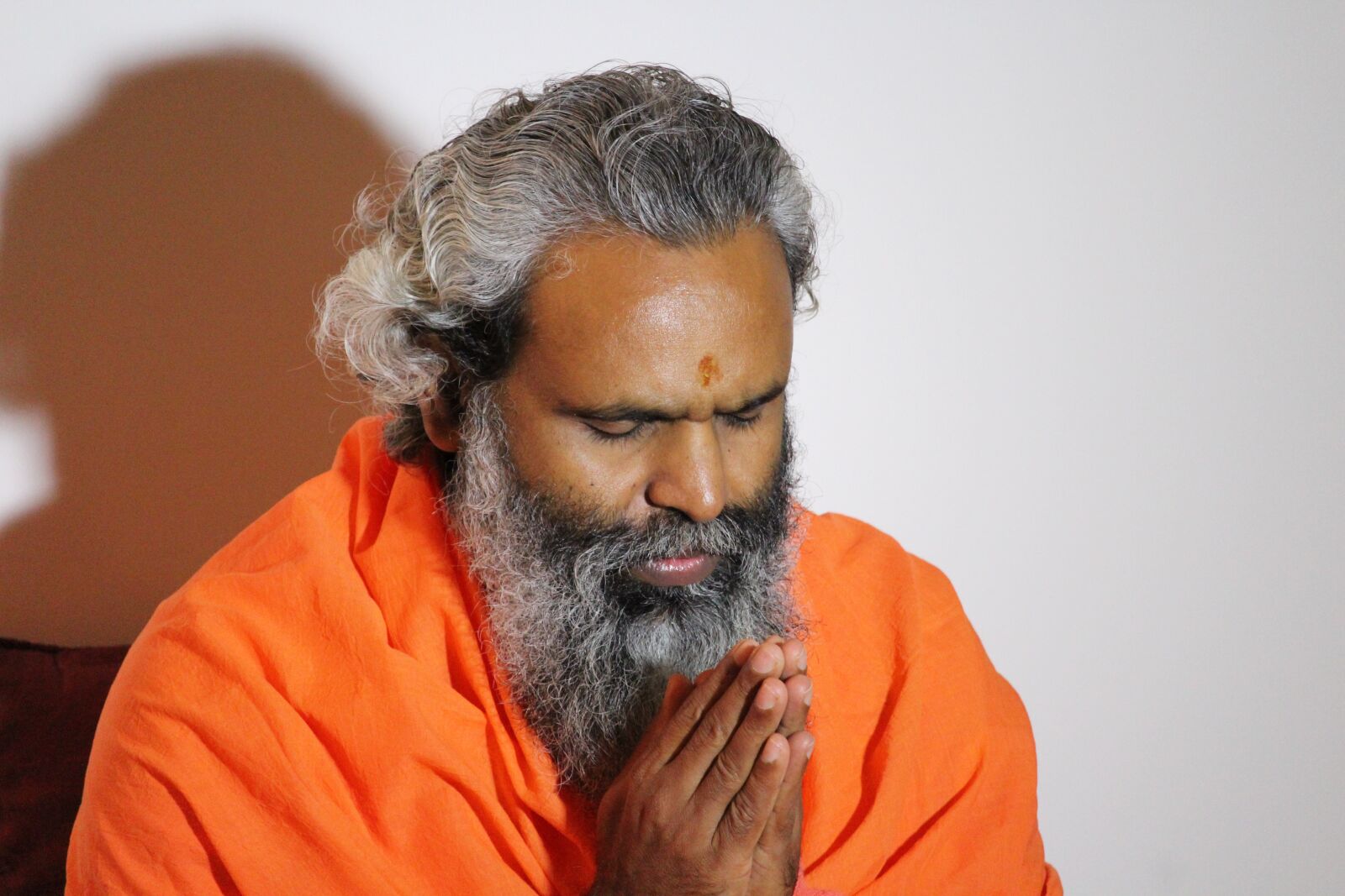 Canon EF-S 55-250mm F4-5.6 IS STM sample photo. Prayer, hindu, swami photography