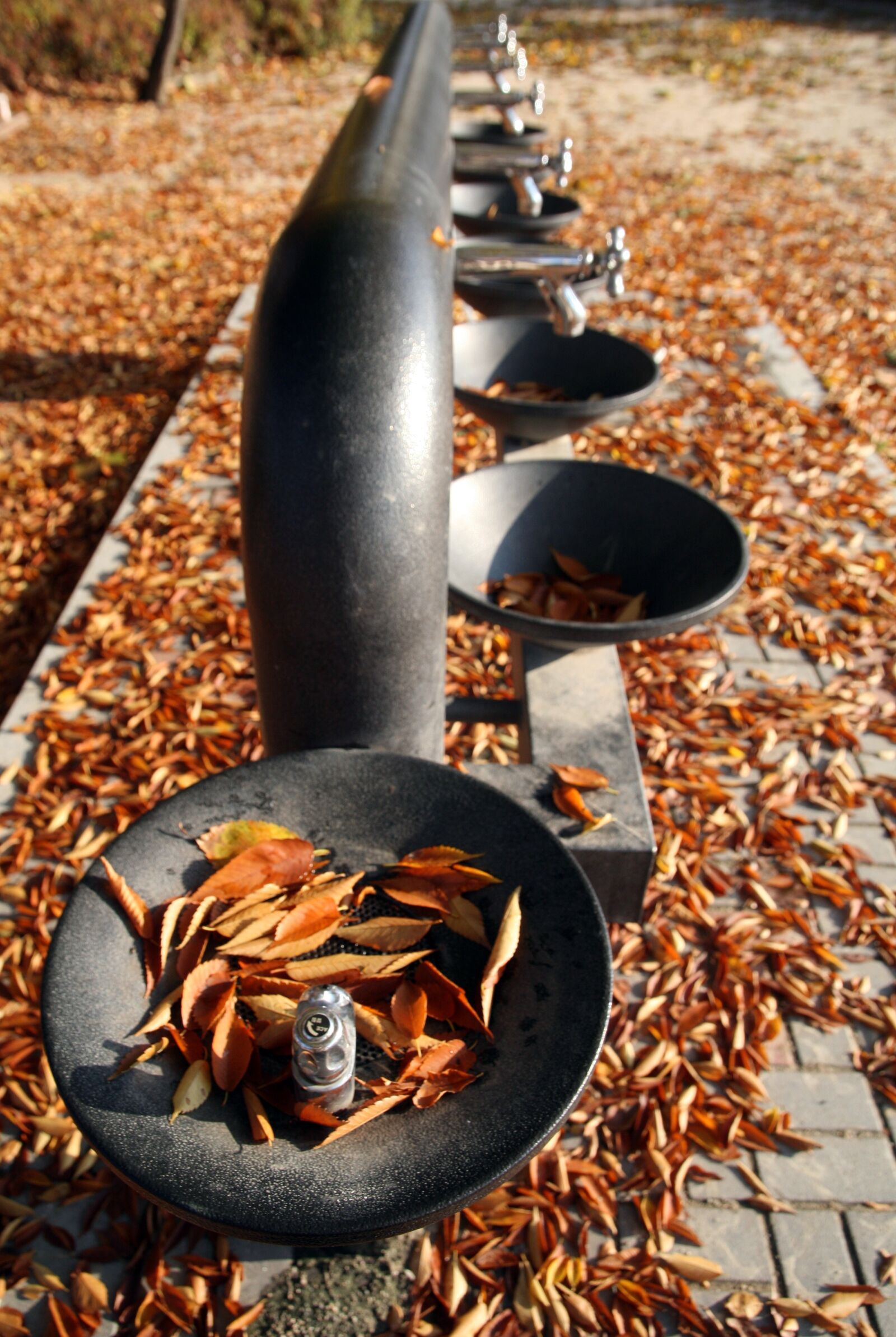 Canon EOS 5D sample photo. Autumn, autumn leaves, the photography
